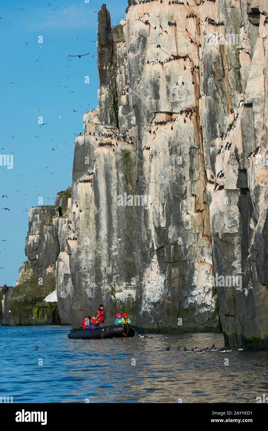 Un zodiaque avec les touristes explore la falaise d'oiseaux d'Alkefjellet à Lomfjordhalvøya dans Ny-Friesland à Spitsbergen, Svalbard, Norvège. Banque D'Images Un zodiaque avec les touristes explore la falaise d'oiseaux d'Alkefjellet à Lomfjordhalvøya dans Ny-Friesland à Spitsbergen, Svalbard, Norvège. Banque D'Images