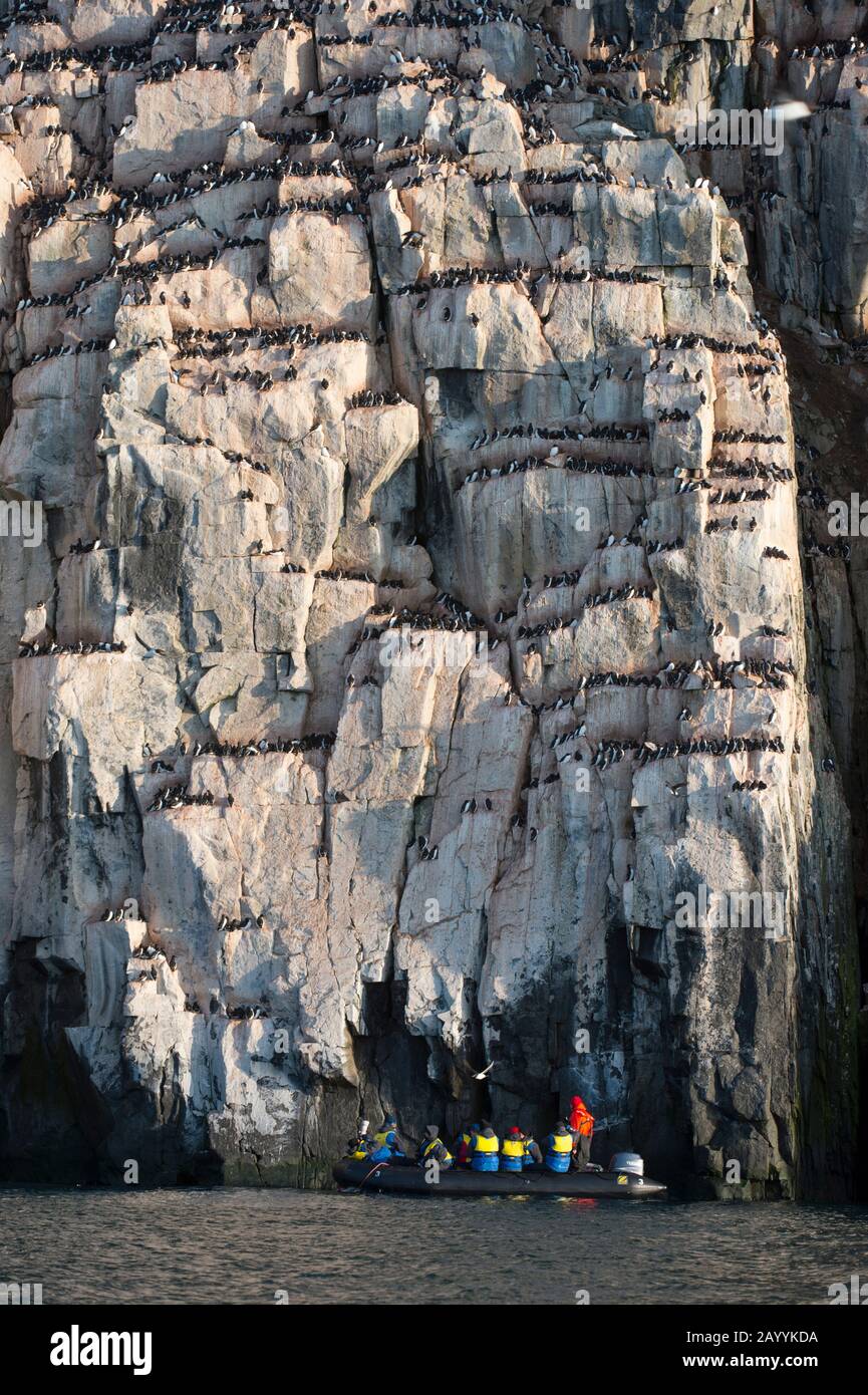 Un zodiaque avec les touristes explore la falaise d'oiseaux d'Alkefjellet à Lomfjordhalvøya dans Ny-Friesland à Spitsbergen, Svalbard, Norvège. Banque D'Images Un zodiaque avec les touristes explore la falaise d'oiseaux d'Alkefjellet à Lomfjordhalvøya dans Ny-Friesland à Spitsbergen, Svalbard, Norvège. Banque D'Images