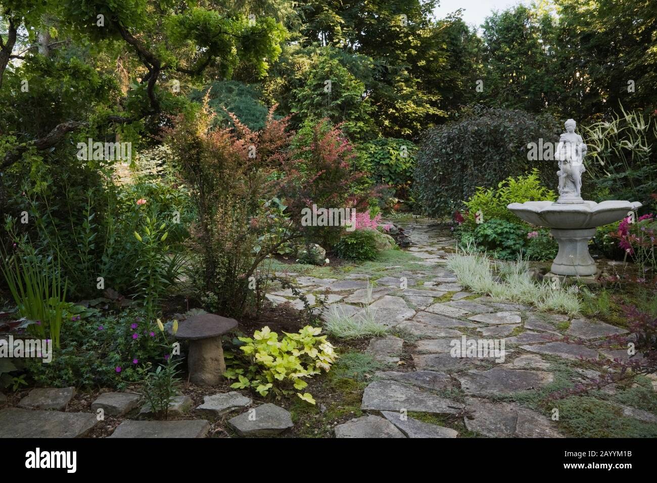 Sentier en pierre de flagelle, fontaine d'eau et frontières avec Heuchera ‘Citronnelle’ - fleur de corail, Berberis thunbergii ‘Rose Glow’ - arbustes de Barberry, Robinia. Banque D'Images