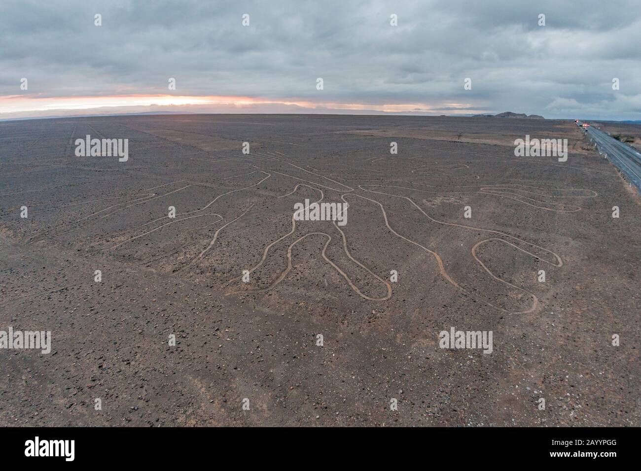 Vue sur les lignes de Nazca "l'arbre" à la limite de l'autoroute panaméricaine au Pérou. Banque D'Images