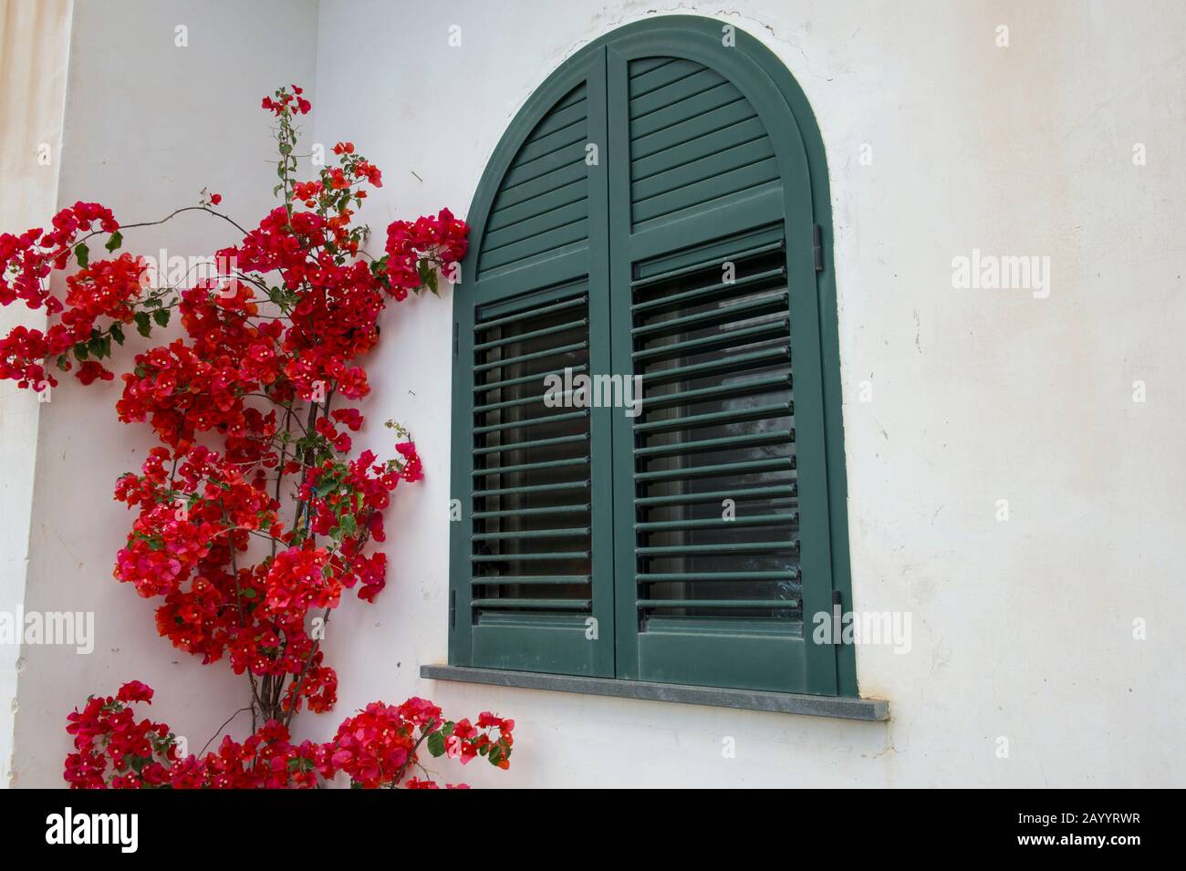 Maison locale avec bougainvillea fleurs à Praiano qui est une ville construite sur une colline abrupte dans la province de Salerne dans la région Campanie du sud Banque D'Images