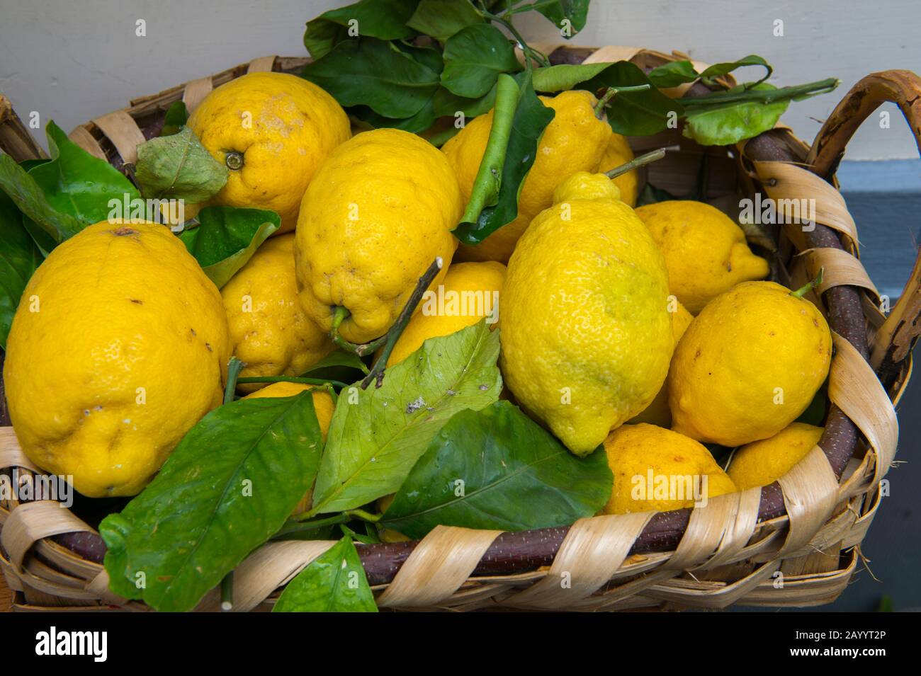 Scène de rue avec citrons à Ravello, une ville au-dessus de la côte amalfitaine, Italie. Banque D'Images