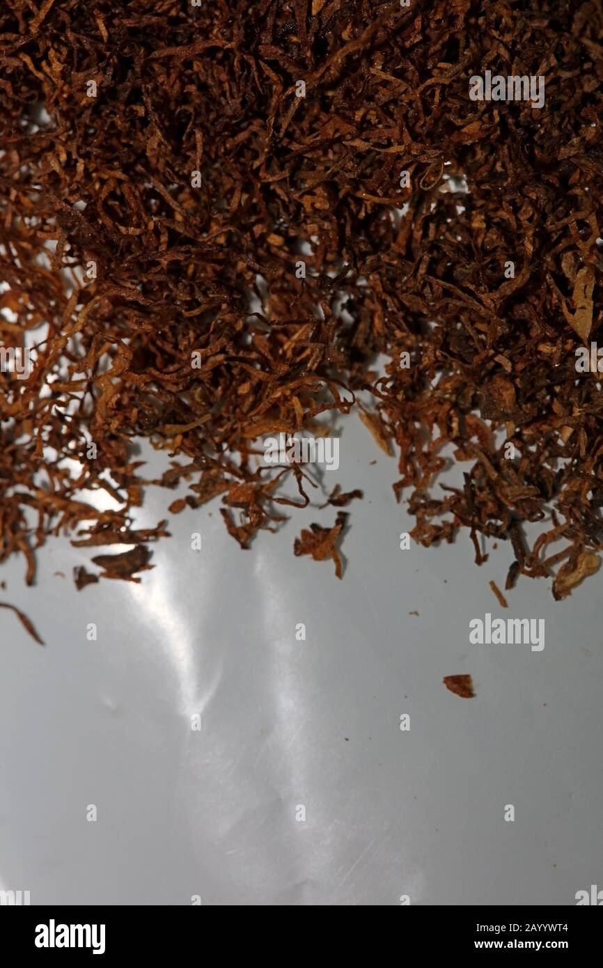 Le tabac roulant laisse un arrière-plan macro de cinquante mégapixels Banque D'Images Le tabac roulant laisse un arrière-plan macro de cinquante mégapixels Banque D'Images