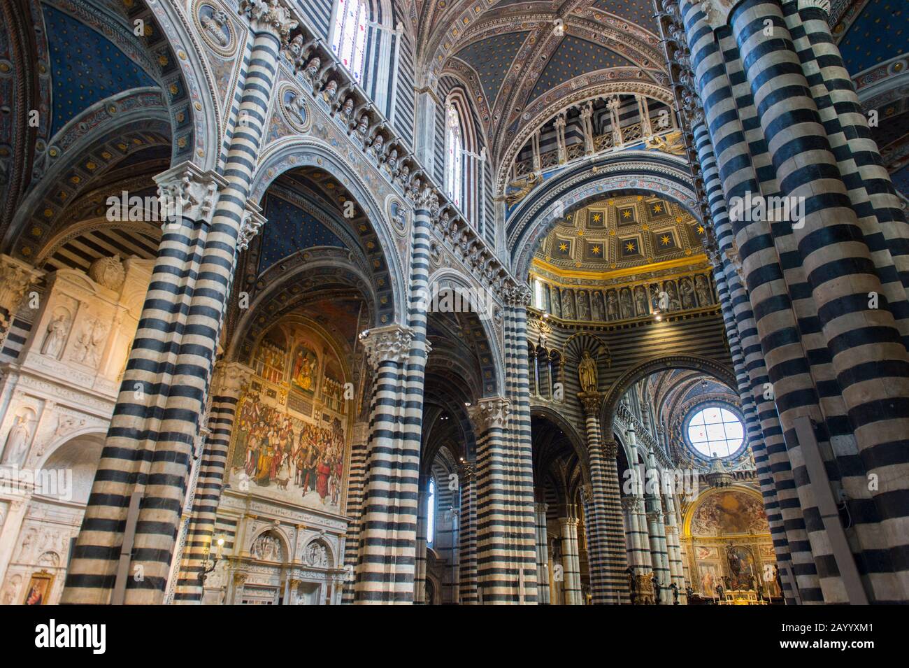 Intérieur avec la fenêtre rose de la cathédrale de Sienne de Santa Maria, mieux connue sous le nom de Duomo, à Sienne, Toscane, Italie. Banque D'Images