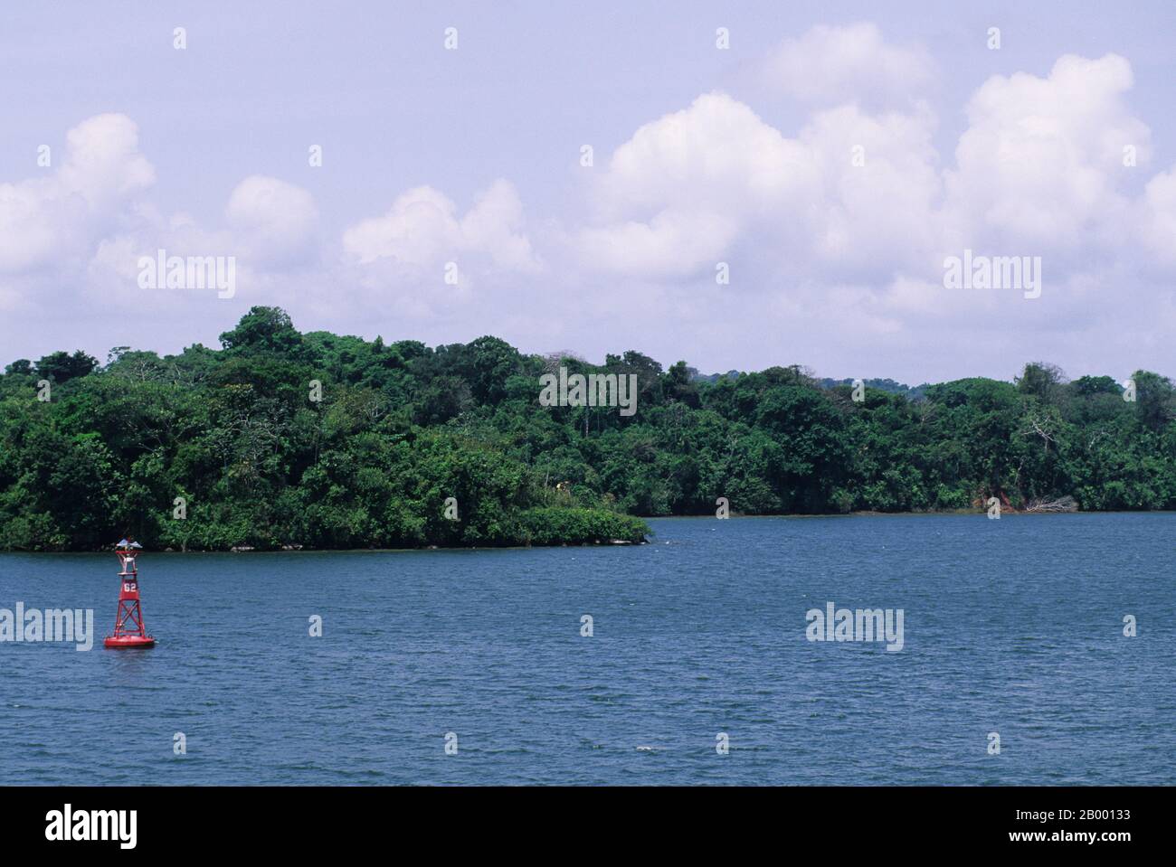 Vue sur la forêt tropicale au bord du lac de Gatun, partie du canal de Panama au Panama. Banque D'Images