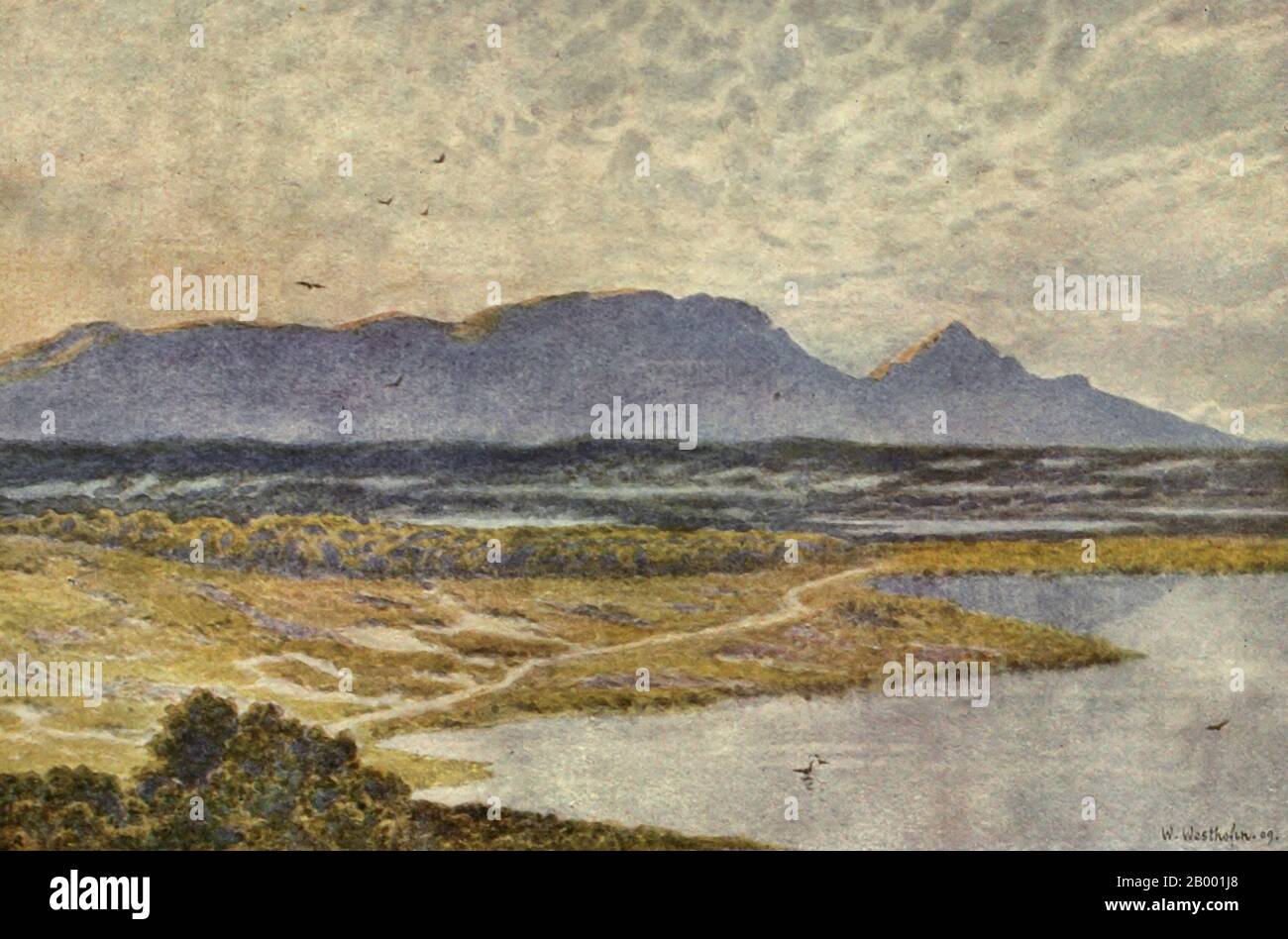 Table Mountain De Retreat Flats, Afrique Du Sud, Vers 1909 Banque D'Images