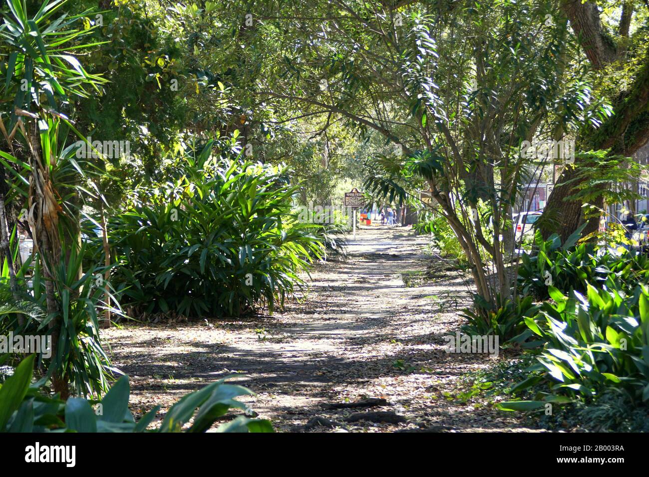 La Nouvelle-Orléans, Louisiane, U.S.A - 7 février 2020 - Le chemin sur le jardin tropical vert par Esplanade Avenue Banque D'Images