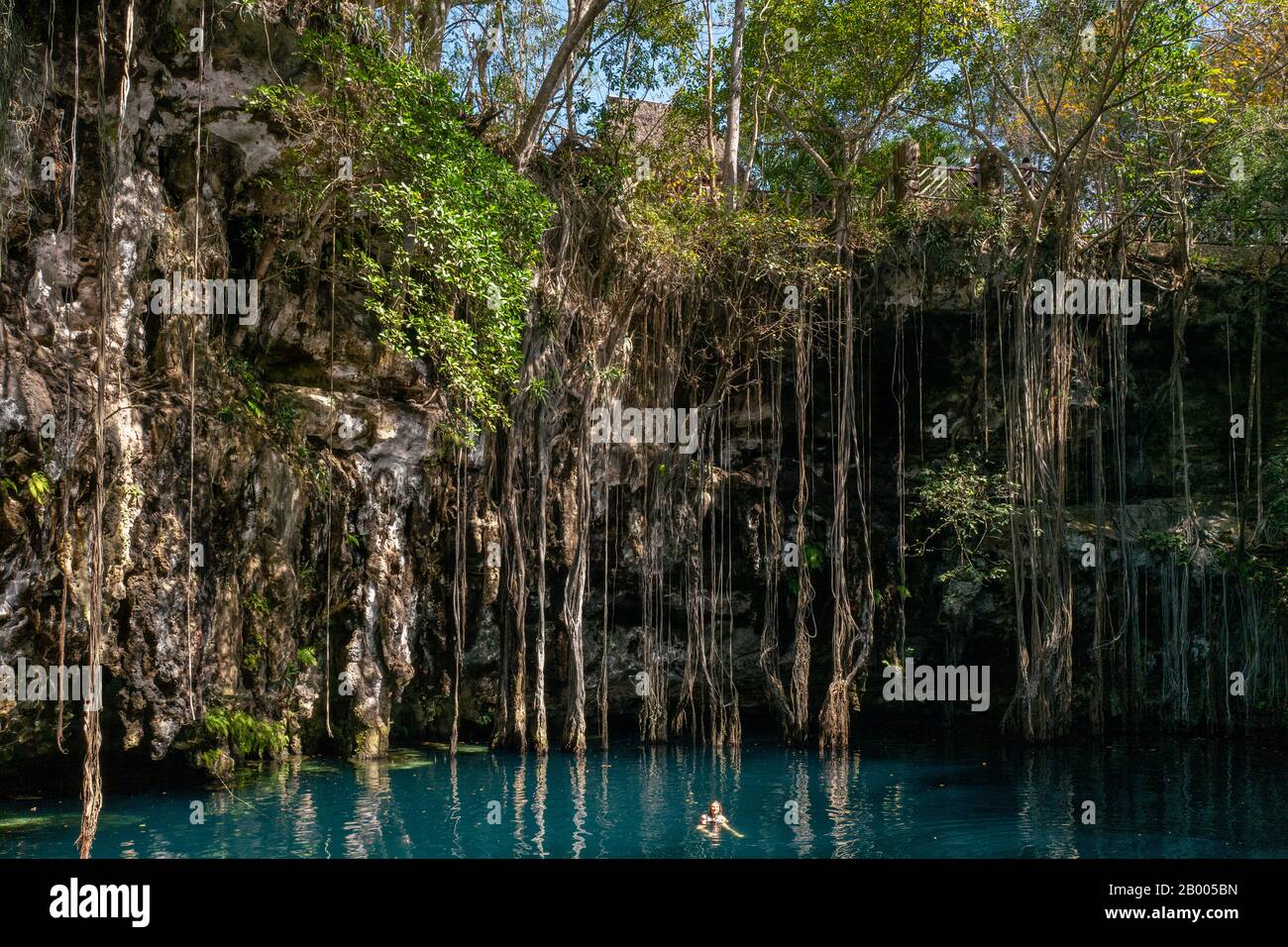 Trou sinkhole de natation de Kil cenote dans la péninsule du Yucatan, au Mexique Banque D'Images Trou sinkhole de natation de Kil cenote dans la péninsule du Yucatan, au Mexique Banque D'Images