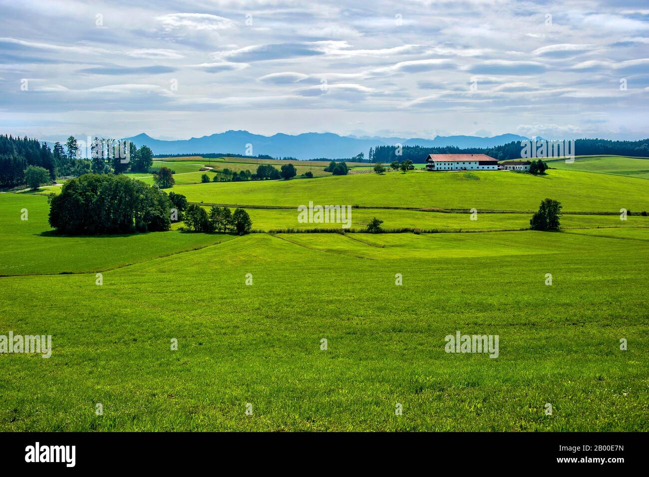 Ferme, propriété au milieu de prairies vertes en face des Alpes de Chiemgau, Amerang, Chiemgau, Haute-Bavière, Bavière, Allemagne Banque D'Images