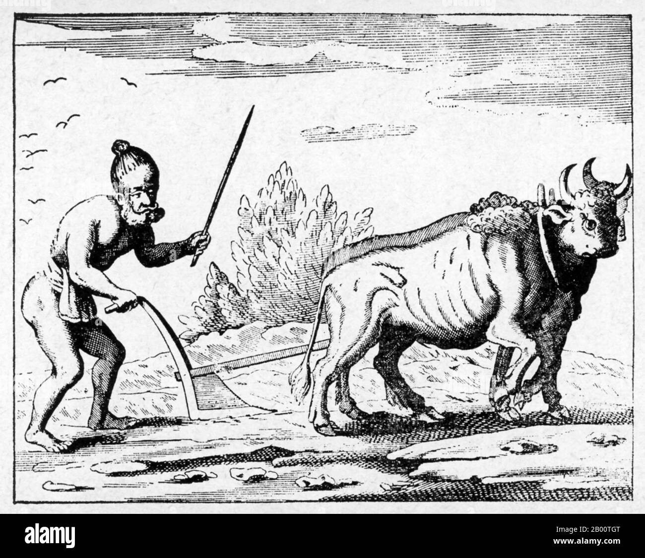 Sri Lanka: "La manière de leur labour". Illustration de Robert KNOX (1641-1720), 1681. 'Une relation historique de l'île Ceylan avec un peu concernant Severall passages remarquables de ma vie qui a hapé [sic] depuis ma sortie de captivité' est un livre écrit par le commerçant et marin anglais Robert KNOX en 1681. Il décrit ses expériences quelques années plus tôt sur l'île sud-asiatique maintenant mieux connue sous le nom de Sri Lanka et fournit l'un des plus importants comptes contemporains de la vie de Ceylonese du XVIIe siècle. KNOX a passé 19 ans comme prisonnier du roi Rajasimha II Banque D'Images