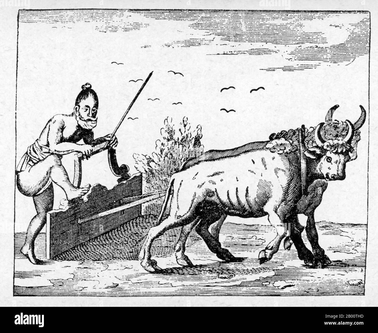 Sri Lanka: "La manière de leur labour". Illustration de Robert KNOX (1641-1720), 1681. 'Une relation historique de l'île Ceylan avec un peu concernant Severall passages remarquables de ma vie qui a hapé [sic] depuis ma sortie de captivité' est un livre écrit par le commerçant et marin anglais Robert KNOX en 1681. Il décrit ses expériences quelques années plus tôt sur l'île sud-asiatique maintenant mieux connue sous le nom de Sri Lanka et fournit l'un des plus importants comptes contemporains de la vie de Ceylonese du XVIIe siècle. KNOX a passé 19 ans comme prisonnier du roi Rajasimha II Banque D'Images