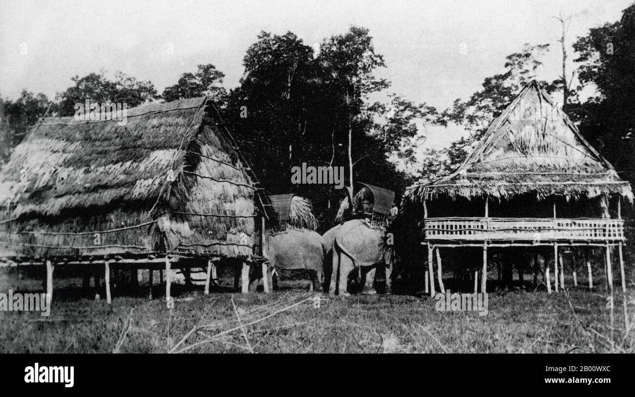 Laos : deux éléphants en paquet transportent de la paille dans un petit village du sud du Laos en 1897. En tant que «bête de fardeau», l’éléphant asiatique n’a pas été très bien évalué. Il pouvait transporter un peu plus de 150 kg malgré sa grande taille. Ils ne pouvaient pas être surtravaillés par crainte de la tension cardiaque, et ont exigé des soins et une alimentation constants. Souvent, les pieds des éléphants étaient entravés pour les empêcher de se promener. La plupart des éléphants de travail étaient utilisés pour transporter du bois, ce qu'ils faisaient avec leurs troncs. Banque D'Images Laos : deux éléphants en paquet transportent de la paille dans un petit village du sud du Laos en 1897. En tant que «bête de fardeau», l’éléphant asiatique n’a pas été très bien évalué. Il pouvait transporter un peu plus de 150 kg malgré sa grande taille. Ils ne pouvaient pas être surtravaillés par crainte de la tension cardiaque, et ont exigé des soins et une alimentation constants. Souvent, les pieds des éléphants étaient entravés pour les empêcher de se promener. La plupart des éléphants de travail étaient utilisés pour transporter du bois, ce qu'ils faisaient avec leurs troncs. Banque D'Images