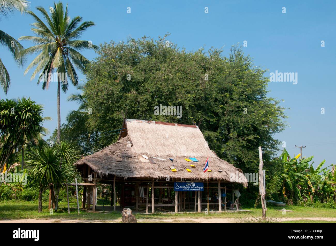 Thaïlande: Maison traditionnelle du barrage Tai, village culturel du barrage Ban Na Pa NAT Tai, province de Loei. Le barrage de Tai ou le Tai noir est un groupe ethnique qui se trouve dans certaines parties du Laos, du Vietnam, de la Chine et de la Thaïlande. Les orateurs du barrage de Tai en Chine sont classés comme faisant partie de la nationalité Dai avec presque tous les autres peuples de Tai. Mais au Vietnam, ils ont leur propre nationalité (avec le Tai blanc) où ils sont classés comme la nationalité thái (c'est-à-dire le Tai). Le barrage de Tai est originaire des environs de Dien bien Phu au Vietnam. Banque D'Images