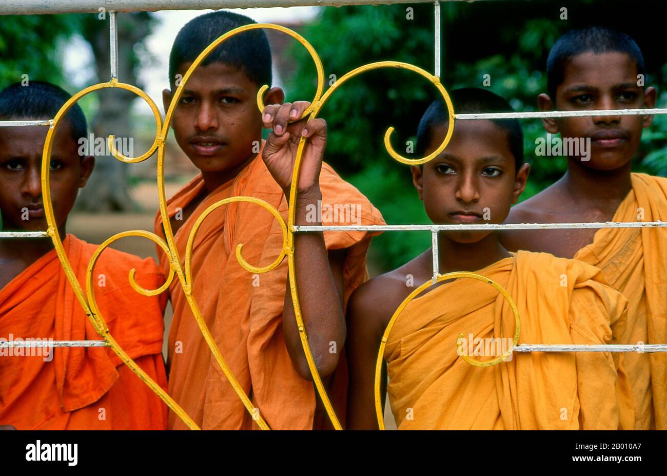 Sri Lanka : moines novices à Anuradhapura. Anuradhapura est l'une des anciennes capitales du Sri Lanka et célèbre pour ses ruines bien conservées. Du 4ème siècle avant notre ère jusqu'au début du XIe siècle avant notre ère c'était la capitale. Pendant cette période, il est resté l'un des centres de pouvoir politique et de vie urbaine les plus stables et les plus durables d'Asie du Sud. La ville antique, considérée sacrée pour le monde bouddhiste, est aujourd'hui entourée de monastères couvrant une superficie de plus de seize miles carrés (40 km²). Banque D'Images