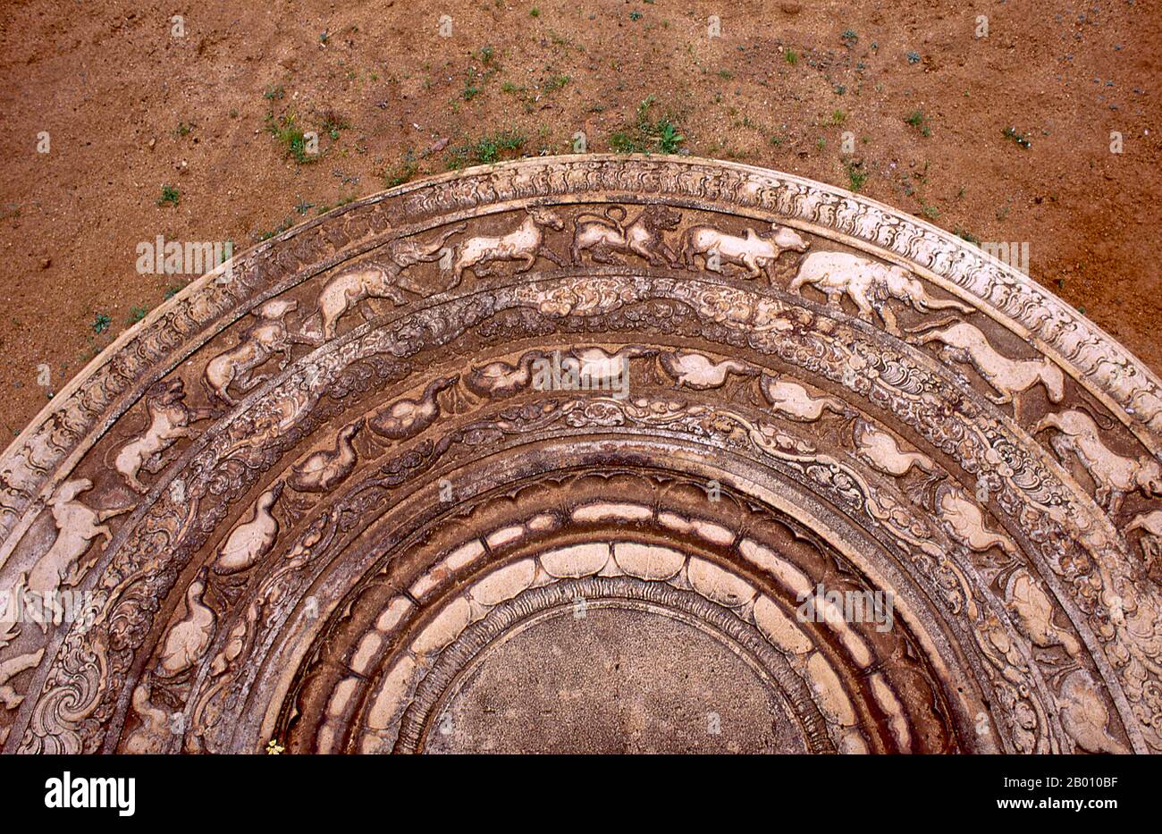 Sri Lanka : Pierre de gardien ou pierre de lune (Sandakada Pahana) au Palais de Mahasen, Anuradhapura. Sandakada pahana est une dalle en pierre semi-circulaire sculptée avec soin, généralement placée au bas des escaliers et des entrées et est une caractéristique unique de l'architecture cinghalaise de l'ancien Sri Lanka. Il symbolise le cycle de Saṃsāra dans le bouddhisme. Anuradhapura est l'une des anciennes capitales du Sri Lanka et célèbre pour ses ruines bien conservées. Du 4ème siècle avant notre ère jusqu'au début du XIe siècle avant notre ère c'était la capitale. Banque D'Images