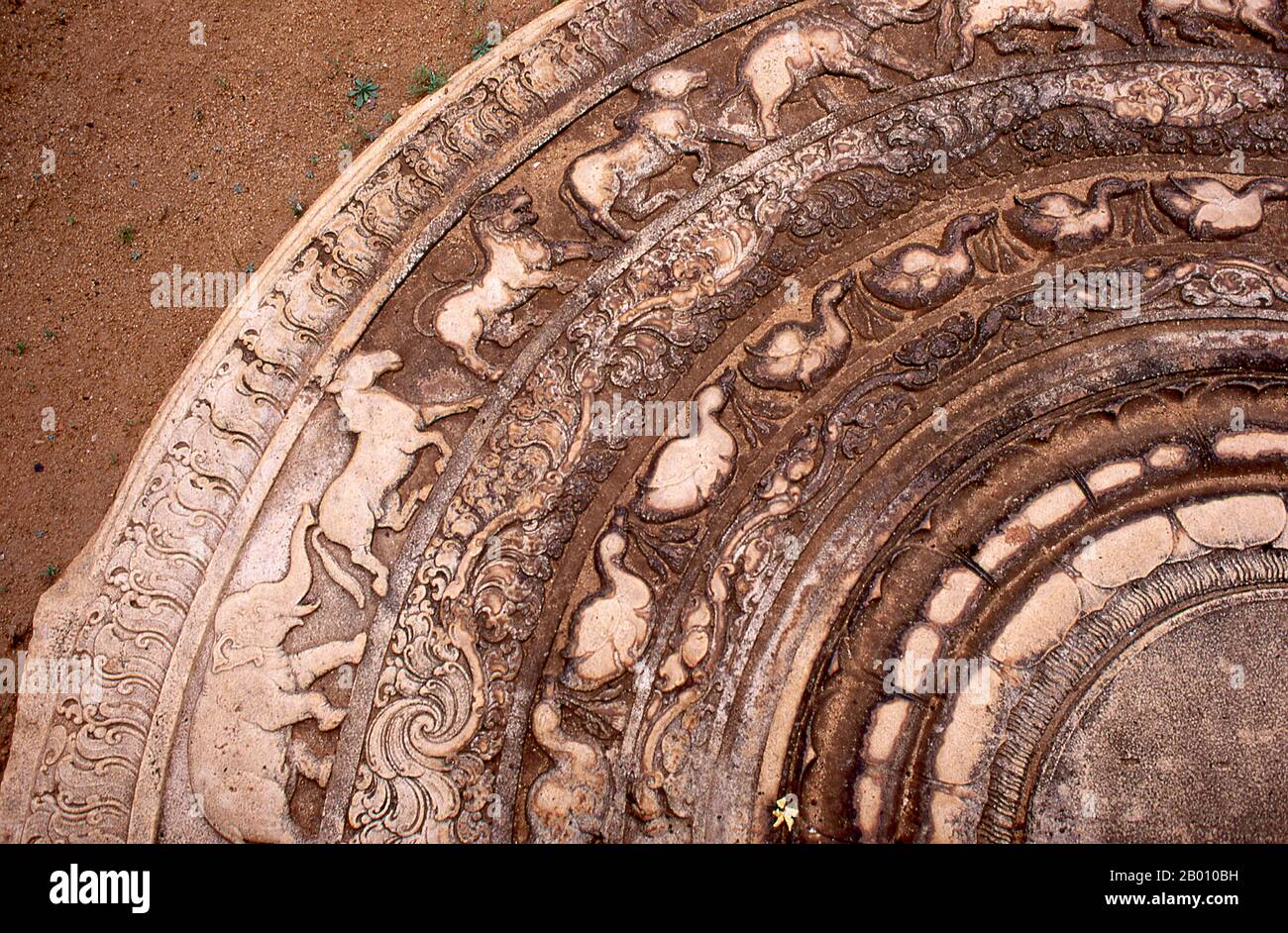 Sri Lanka : Pierre de gardien ou pierre de lune (Sandakada Pahana) au Palais de Mahasen, Anuradhapura. Sandakada pahana est une dalle en pierre semi-circulaire sculptée avec soin, généralement placée au bas des escaliers et des entrées et est une caractéristique unique de l'architecture cinghalaise de l'ancien Sri Lanka. Il symbolise le cycle de Saṃsāra dans le bouddhisme. Anuradhapura est l'une des anciennes capitales du Sri Lanka et célèbre pour ses ruines bien conservées. Du 4ème siècle avant notre ère jusqu'au début du XIe siècle avant notre ère c'était la capitale. Banque D'Images