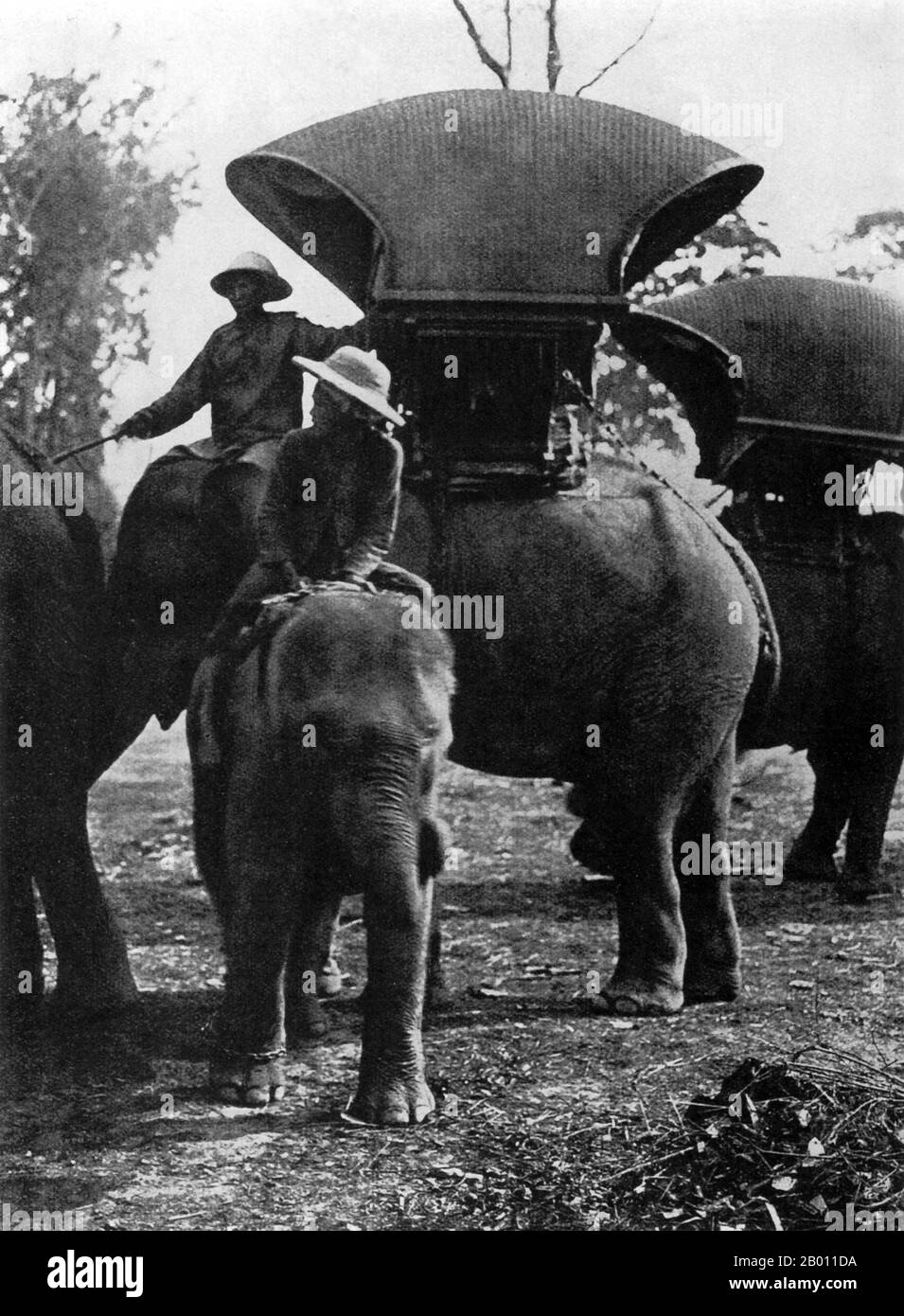 Thaïlande: Les éléphants sont aux prises avec des howdahs en préparation pour un voyage, Siam, fin du XIXe siècle. Au XIXe siècle, l'éléphant d'Asie occupe une position de premier plan à Siam, bien qu'il soit régulièrement chassé au nord d'Ayutthaya et des États lao (aujourd'hui, province de Chiang Mai et ISAN). Non seulement les éléphants ont-ils été utilisés comme bêtes de la charge dans l'agriculture et pour le transport du bois, mais ils ont été actifs dans la guerre menant des accusations de cavalerie contre l'ennemi. Les éléphants étaient fréquemment employés dans les guerres siamères-birmanes du Moyen-âge. Les rois de Siam gardaient des éléphants, en particulier des éléphants albinos précieux. Banque D'Images