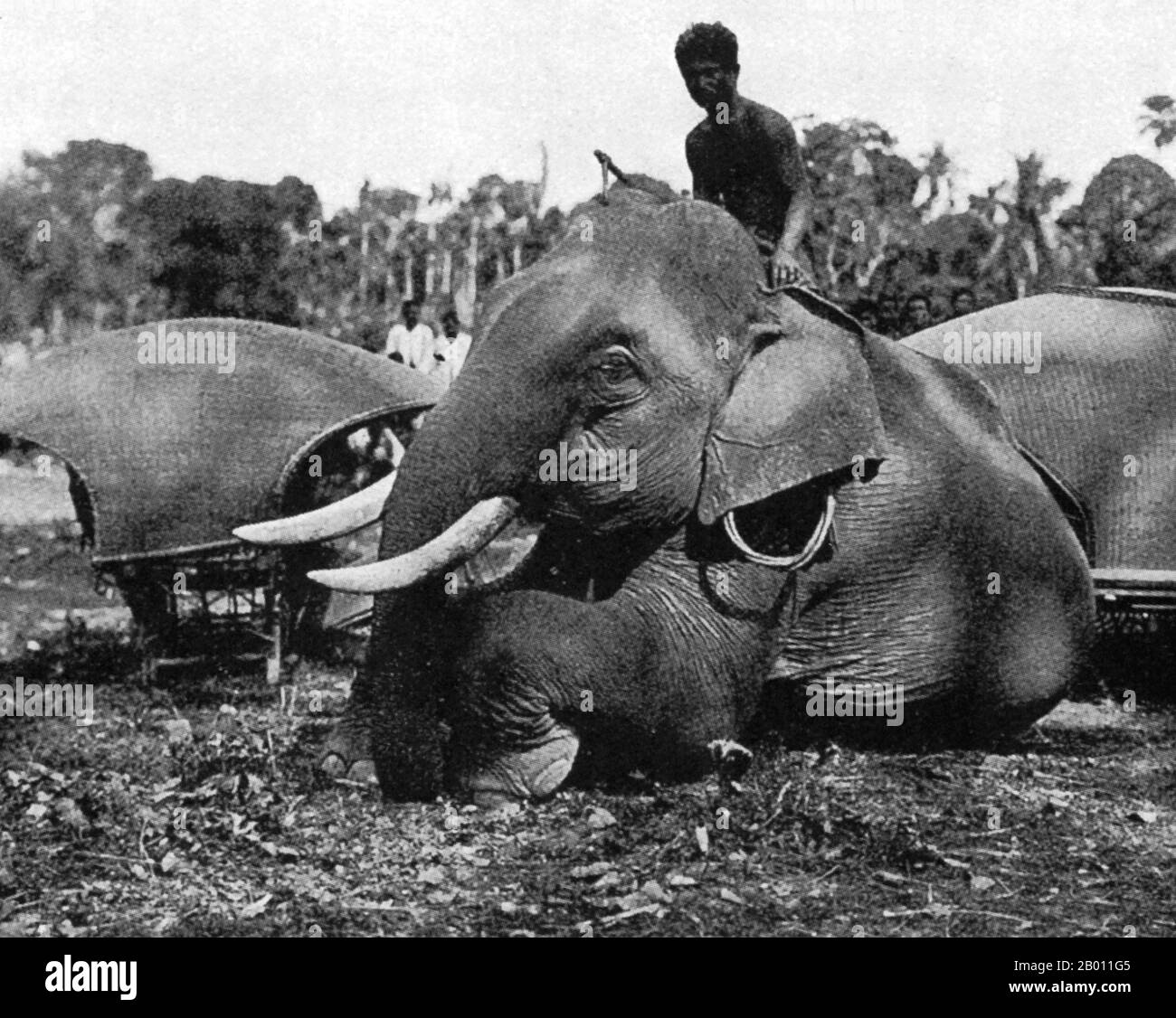 Thaïlande: Un mahout et son éléphant prennent un repos, Siam, fin du XIXe siècle. Au XIXe siècle, l'éléphant d'Asie occupe une position de premier plan à Siam, bien qu'il soit régulièrement chassé au nord d'Ayutthaya et des États lao (aujourd'hui, province de Chiang Mai et ISAN). Non seulement les éléphants ont-ils été utilisés comme bêtes de la charge dans l'agriculture et pour le transport du bois, mais ils ont été actifs dans la guerre menant des accusations de cavalerie contre l'ennemi. Les éléphants étaient fréquemment employés dans les guerres siamères-birmanes du Moyen-âge. Les rois de Siam ont gardé des éléphants, en particulier des éléphants albinos précieux, dans des écuries élaborées. Banque D'Images