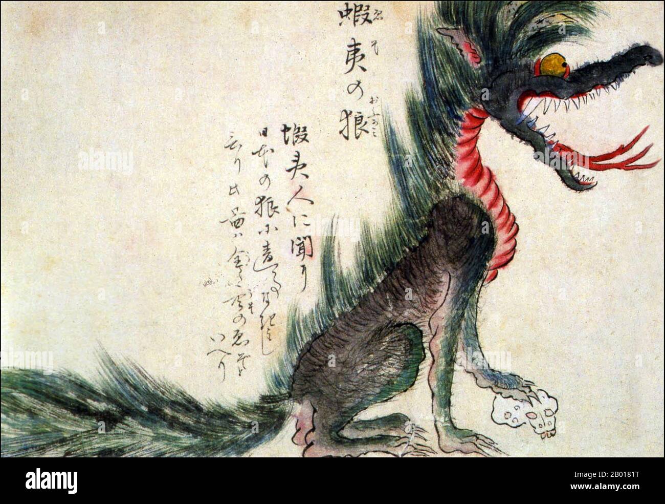 Japon : un loup monstrueux Ezo (Hokkaido).Du Kaikidan Ekotoba Monster Scroll, au milieu du 19th siècle.Cette illustration montre un loup Ezo (également connu sous le nom de loup Hokkaido), qui aurait disparu à la fin du 19th siècle, après que cette illustration ait été faite.L'animal est vu ici avec sa patte sur un crâne humain.Le Kaikidan Ekotoba est un handscroll du milieu du 19th siècle qui présente 33 monstres légendaires et odyties humaines, principalement de la région de Kyushu au Japon, mais avec plusieurs d'autres pays, y compris la Chine, la Russie et la Corée.Le document, dont l'auteur est inconnu, se trouve dans le po Banque D'Images