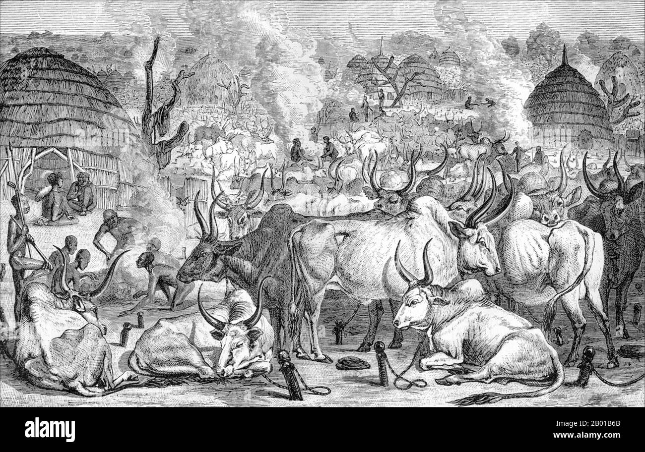 Soudan: 'A Dinka Cattle-Park'. Illustration par Georg August Schweinfurth (29 décembre 1836 - 19 septembre 1925), 1874. « L'illustration ci-jointe est conçue pour exposer quelque chose de la routine quotidienne du Dinka. Il représente l'un de ces murahs ou parcs de bétail, dont j'ai vu des centaines. Il dépeint la scène à environ cinq heures dans l'après-midi. Au premier plan, il y a des spécimens du bétail du pays. Les hommes en charge sont busied de recueillir vers le haut dans les tas le fumier qui a été exposé pendant la journée pour être séché au soleil. Des nuages de vapeur réeking remplissent le Murah'. Banque D'Images
