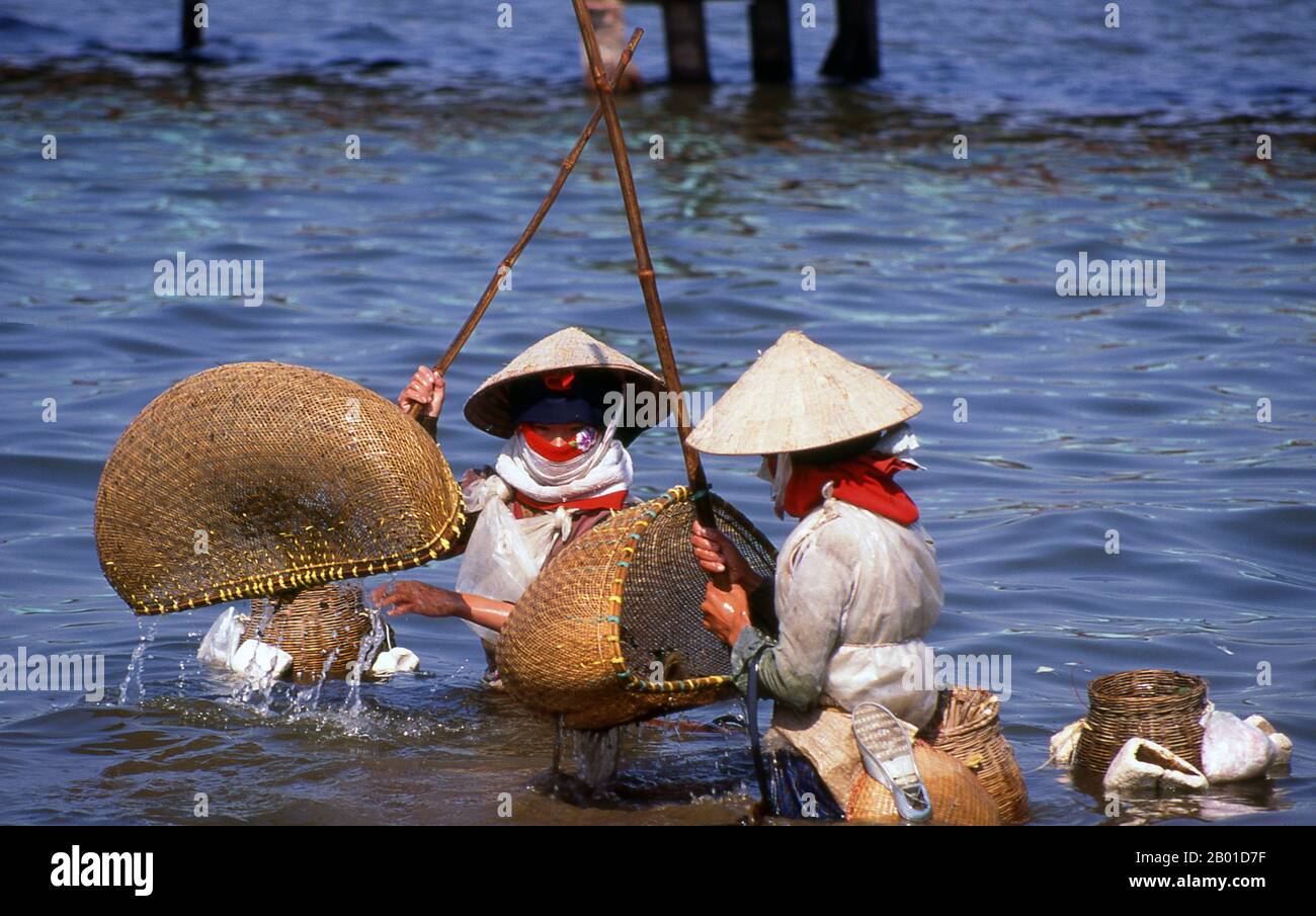 Vietnam : les femmes pêchent à Ho Tay (lac de l'Ouest), Hanoï. Le lac de l'Ouest (Hồ Tây) est un lac d'eau douce dans le centre de Hanoi. Avec une longueur de rivage de 17 km (environ 10,6 miles), c'est le plus grand lac de la capitale et un endroit populaire pour les loisirs avec de nombreux jardins, hôtels et villas environnants. Une petite partie du lac Ouest est divisée par la route Thanh Nien pour former le lac truc Bach (lac White Silk). Banque D'Images