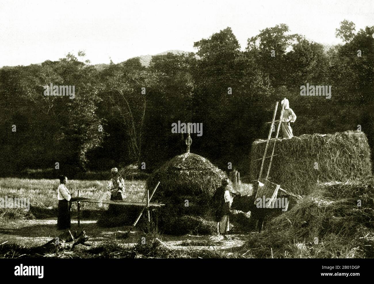 Birmanie : les éleveurs de Shan battent le riz, c. 1892-1896. Situé dans le nord-est du pays, l’État Shan couvre un quart de la masse terrestre de la Birmanie. Elle était traditionnellement séparée en principautés et se compose principalement de Shan, Burman Pa-O, Intha, Taungyo, Danu, Palaung et Kachin. Banque D'Images