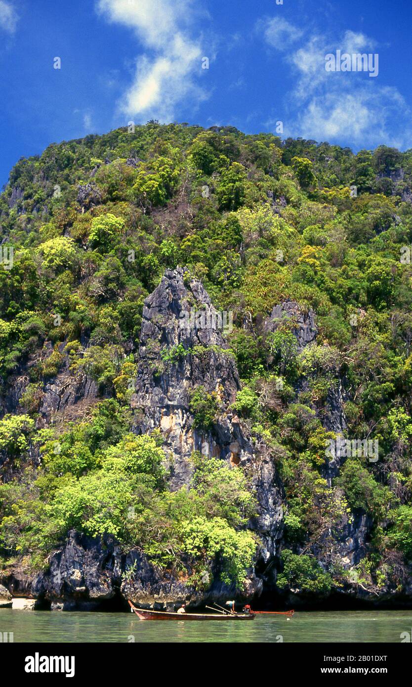 Thaïlande: Tour en bateau, parc national d'Ao Phang Nga (baie de Phangnga), province de Phang Nga. Inauguré en 1981, le parc national Ao Phang Nga couvre une superficie d'environ 400 km carrés et est composé principalement de rochers karstiques et d'îles, de falaises imposantes et des eaux claires de la mer de Phuket. Bien que abritant une grande variété de créatures marines et côtières, y compris le moniteur d'eau de deux mètres de long, la plupart des gens visitent le parc pour émerveiller et naviguer à travers et autour des nombreuses tours karstiques imminentes. Banque D'Images