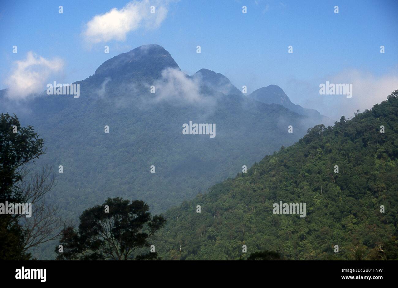 Vietnam: Les trois sommets après lesquels Tam Dao est nommé, station de colline Tam Dao, au nord de Hanoï. Les Français ont développé Tam Dao comme station de montagne en 1907, l'ayant comme un refuge populaire des plaines de cuisson de l'été de la rivière Rouge, mais plus proche et plus accessible de Hanoi que Sapa, plus au nord sur la frontière chinoise. Le nom «Tam Dao» provient des «trois îles», qui sont en fait une ligne de trois pics, tous autour de 1 400 mètres (4 593 pi) de hauteur, qui peuvent parfois, mais loin de toujours, être vus au-dessus des nuages environnants, comme des îles dans une mer de brume. Banque D'Images