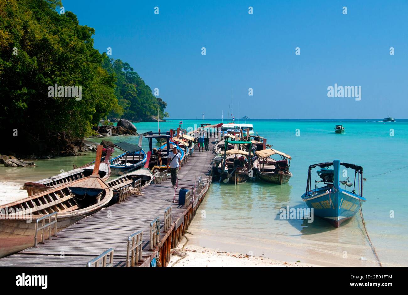 Thaïlande: Ko Surin Nua, Parc national marin des îles Surin. Le parc national marin de Ko Surin est l’une des dernières frontières de la Thaïlande pour la plongée et la voile. Ce parc marin de la mer d’Andaman abrite certains des récifs coralliens les plus développés du pays. L'archipel de Koh Surin est une zone de 135 kilomètres carrés située dans la mer d'Andaman à environ 60 kilomètres (38 milles) de la province continentale de Ranong. Les cinq îles du parc se trouvent juste au sud de la frontière avec la Birmanie. Koh Surin Nua, l'une des deux îles principales, a une superficie d'environ 19 kilomètres carrés, avec 240 mètres sa plus haute altitude. Banque D'Images