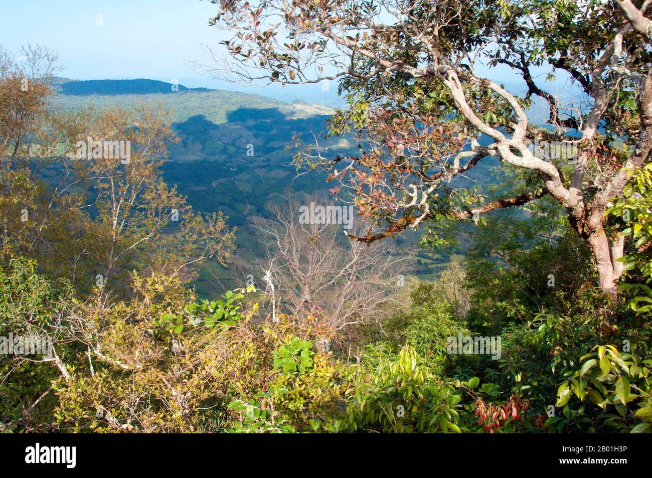 Thaïlande : vue de Sam Thong Cliff, parc national de Phu Ruea, province de Loei. La province de Loei (thaï : เลย) est située dans le nord-est de la Thaïlande. Les provinces voisines sont (de l'est dans le sens des aiguilles d'une montre) Nong Khai, Udon Thani, Nongbua Lamphu, Khon Kaen, Phetchabun, Phitsanulok. Au nord, elle borde les provinces de Xaignabouli et Vientiane du Laos. La province est couverte de basses montagnes, tandis que la capitale Loei est située dans un bassin fertile. La rivière Loei, qui traverse la province, est un affluent du Mékong. Banque D'Images