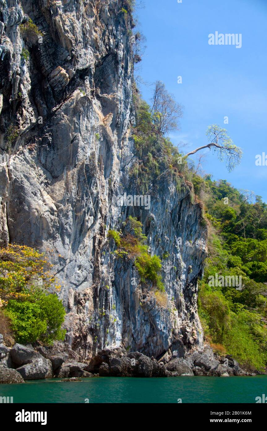 Thaïlande : falaises de Ko Muk, province de Trang. Ko Muk ou «Pearl Island» se trouve à 13 km (8 miles) au sud de Trang's Pak Meng Pier. Jusqu'à assez récemment, une destination reculée de Backpacker avec une petite population résidente de Chao Lae «Sea Gypsies», Ko Muk se développe rapidement pour devenir une destination plus haut de gamme. Tham Morakot ou « Emerald Cave » est une attraction locale majeure. Les visiteurs doivent nager environ 75 mètres (240 pieds) à travers une caverne remplie d'eau à marée haute, une partie de la baignade étant dans l'obscurité virtuelle, pour atteindre un hong ou un lagon rempli de mer qui est autrement coupé du monde extérieur. Banque D'Images