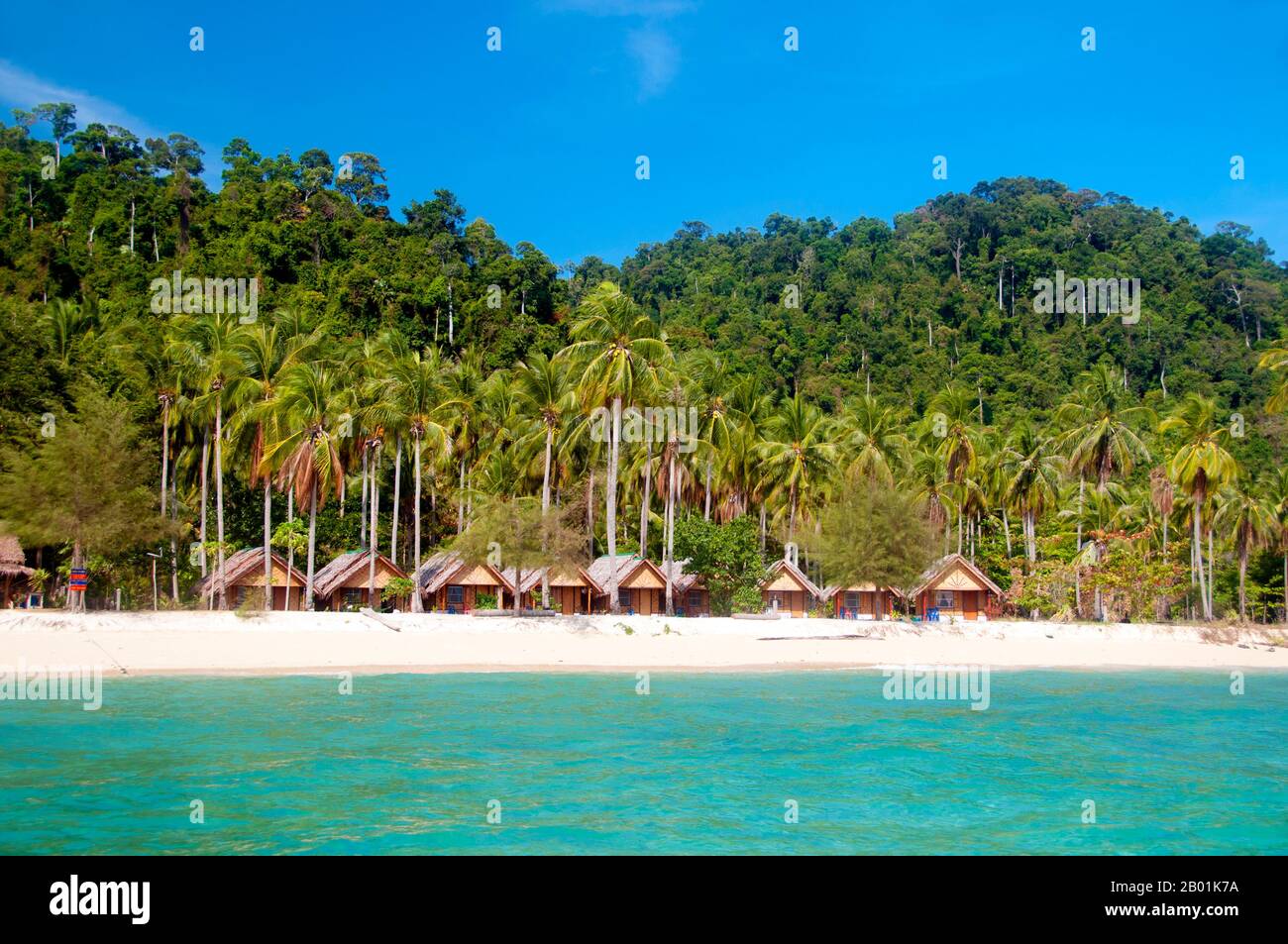 Thaïlande : Ko Hai, province de Trang. Ko Hai, également connu sous le nom de Ko Ngai, est une petite île magnifique située à environ 15 km (10 miles) de la jetée de Pak Meng de Trang et facilement accessible en bateau. La province de Trang dépendait de l'extraction de l'étain jusqu'à ce que les premiers plants de caoutchouc soient importés en Thaïlande vers 1901 - une partie d'un long voyage depuis l'Amérique du Sud via les États malais voisins. Le caoutchouc, l'huile de palme et la pêche sont les piliers de l'économie de la province. Le tourisme a un impact croissant alors que la côte et les îles Andaman de Trang sont de plus en plus développées et popularisées. Banque D'Images