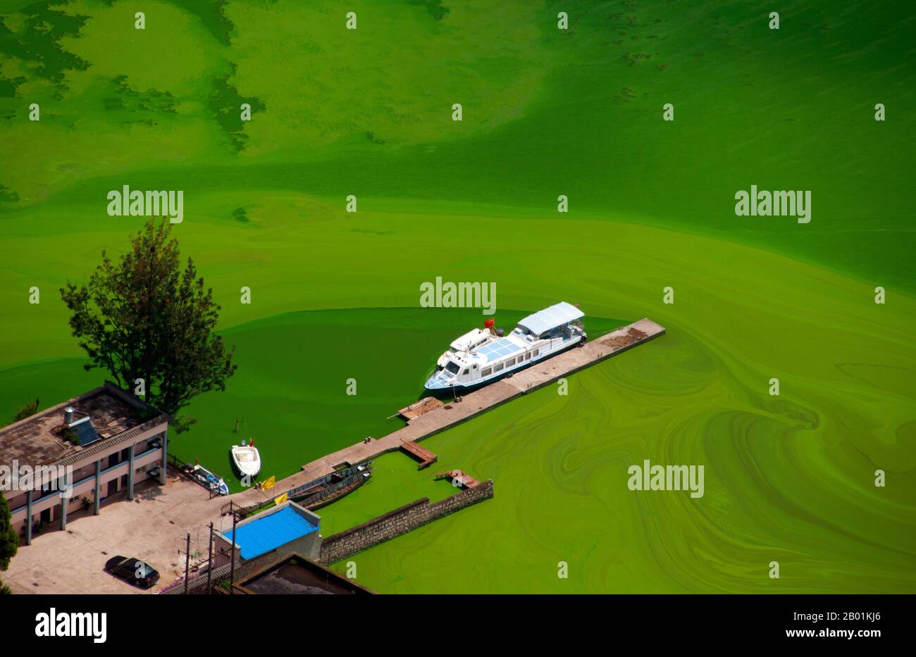 Chine : vue depuis les collines de l'Ouest sur Dianchi (lac Dian) avec sa frange d'algues vertes, près de Kunming, province du Yunnan. Le lac Dian ou lac Kunming est un grand lac inter-terre situé sur le plateau du Yunnan-Guizhou près de Kunming, province du Yunnan. Son surnom est «Sparkling Pearl Embedded in a Highland», et il a été le modèle pour le lac Kunming dans le Palais d'été de Pékin. C'est un lac d'eau douce à 1 886,5 m (6 189 pi) au-dessus du niveau de la mer. Le lac couvre 298 km2 (115 miles carrés). Il mesure 39 km (24 mi) de long du nord au sud, et la profondeur moyenne est de 4,4 m (14 pi). Banque D'Images