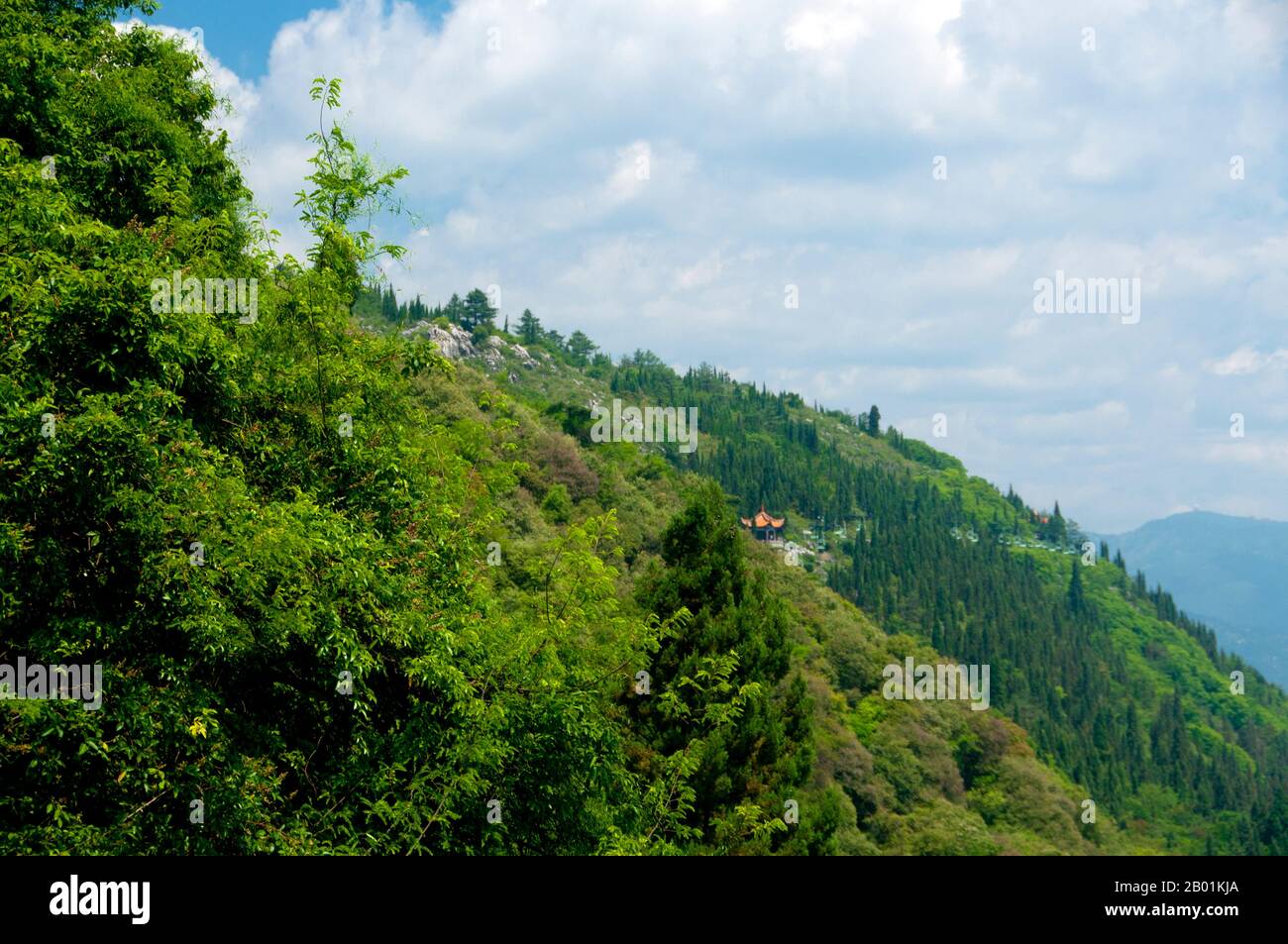 Chine : les collines occidentales (Xishan), près de Kunming, province du Yunnan. La réserve forestière de Western Hills se trouve dans la chaîne de montagnes Biji à l'ouest de Kunming, en Chine. Il est visible depuis les rives est ou nord du lac Dianchi. Banque D'Images