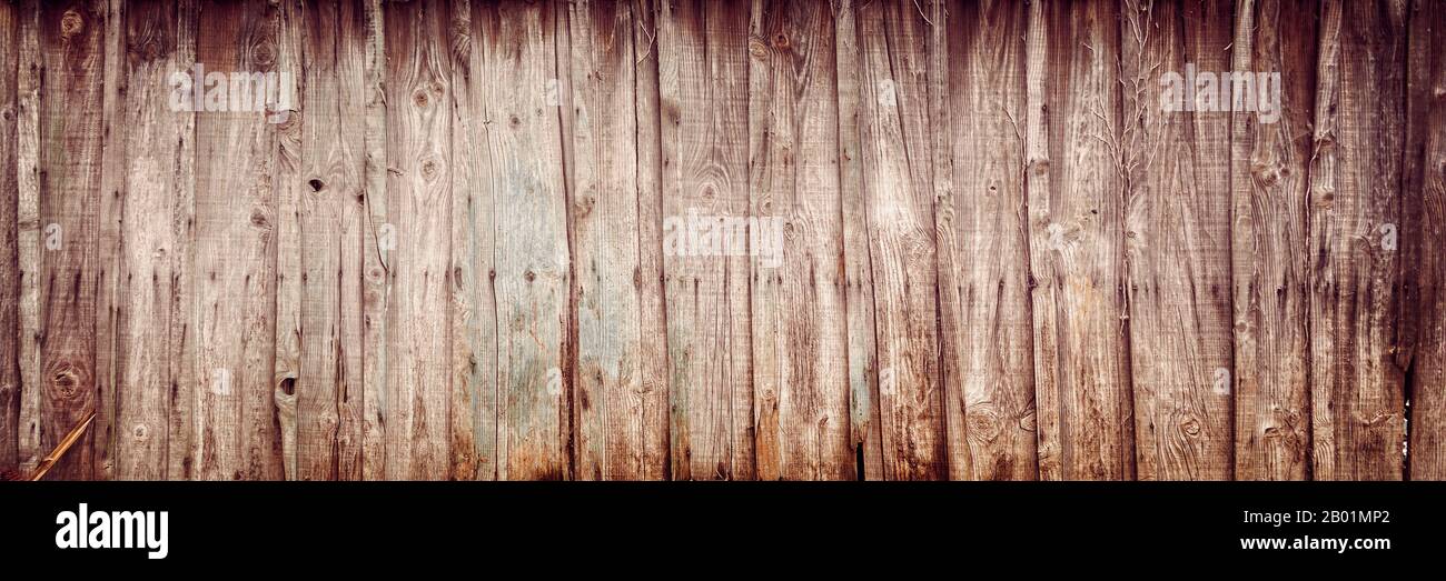 Vieux planks en bois texture avec des ongles rouillés, arrière-plan panoramique vintage Banque D'Images