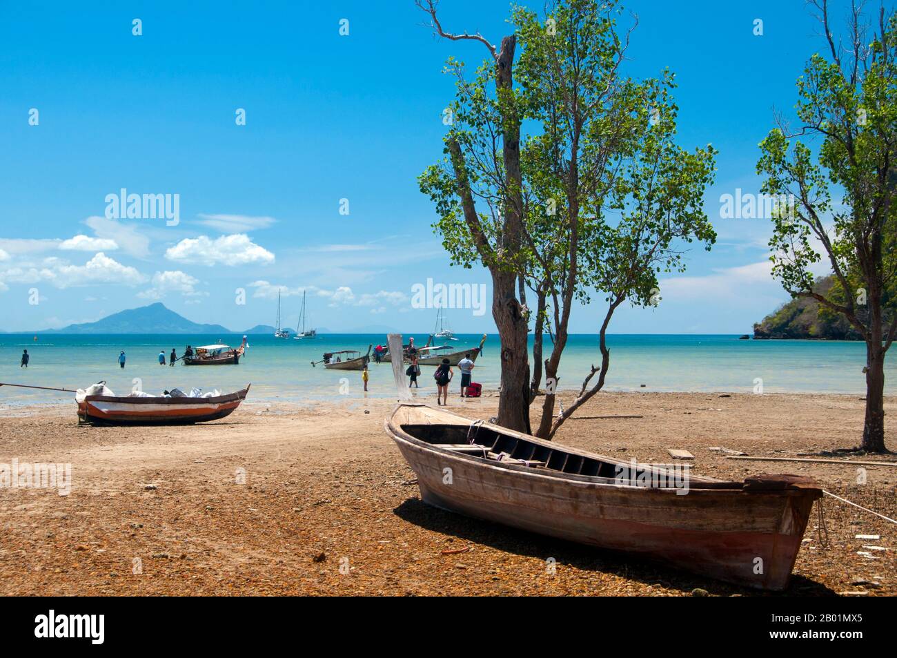 Thaïlande : mangroves à Hat Rai Leh East Bay, côte de Krabi. Hat Rai Leh se divise en deux plages, est et Ouest. Le premier, Rai Leh East, est plutôt boueux à marée basse, et les gens séjournant ici ont tendance à fréquenter Rai Leh West. Hat Rai Leh West est plus sain et généralement plus attrayant. La province de Krabi est composée de plus de 5 000 km2 de collines couvertes de jungle et d'affleurements karstiques pointus et déchiquetés, ainsi que de plus de 100 km de côtes luxuriantes et immaculées et d'environ 200 îles dans la mer d'Andaman voisine. Banque D'Images