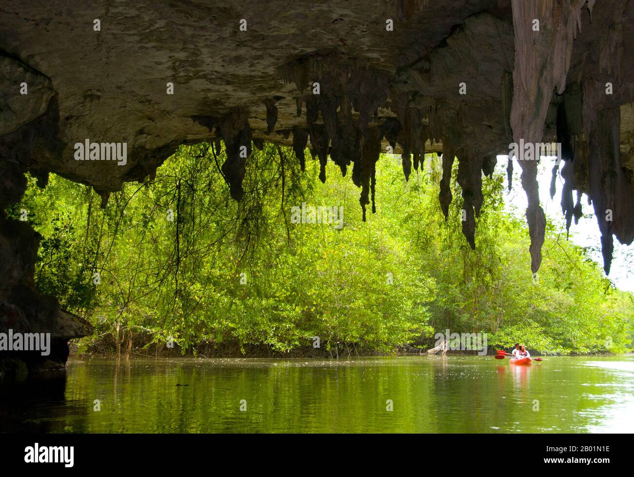 Thaïlande : kayak à travers la grotte de Tham Lot, Than Bokkharani National Park, province de Krabi. Le parc national de Than Bokkharani est situé dans la province de Krabi à environ 45 kilomètres (28 miles) au nord-ouest de la ville de Krabi. Le parc couvre une superficie de 121 kilomètres carrés (47 miles carrés) et est caractérisé par une série d'affleurements calcaires, des forêts tropicales persistantes, des forêts de mangroves, des marais tourbeux et de nombreuses îles. Il y a aussi de nombreuses grottes et complexes de grottes avec quelques stalagmites et stalactites spectaculaires. Than Bokkharani se concentre sur deux grottes bien connues, Tham Lot et Tham Phi Hua. Banque D'Images