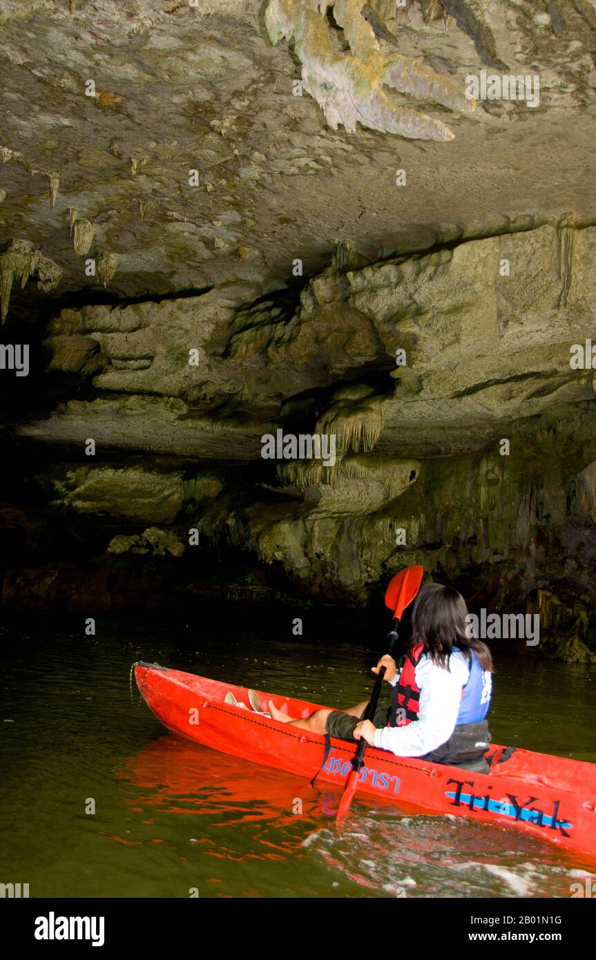 Thaïlande : kayak à travers la grotte de Tham Lot, Than Bokkharani National Park, province de Krabi. Le parc national de Than Bokkharani est situé dans la province de Krabi à environ 45 kilomètres (28 miles) au nord-ouest de la ville de Krabi. Le parc couvre une superficie de 121 kilomètres carrés (47 miles carrés) et est caractérisé par une série d'affleurements calcaires, des forêts tropicales persistantes, des forêts de mangroves, des marais tourbeux et de nombreuses îles. Il y a aussi de nombreuses grottes et complexes de grottes avec quelques stalagmites et stalactites spectaculaires. Than Bokkharani se concentre sur deux grottes bien connues, Tham Lot et Tham Phi Hua. Banque D'Images