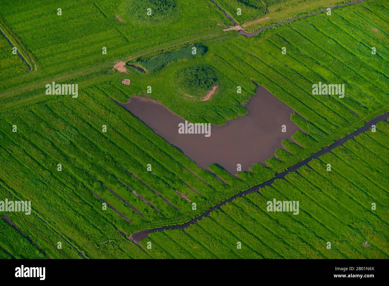 TERP et les ditsches de drainage dans les marais, vue aérienne, Allemagne, Schleswig-Holstein Banque D'Images
