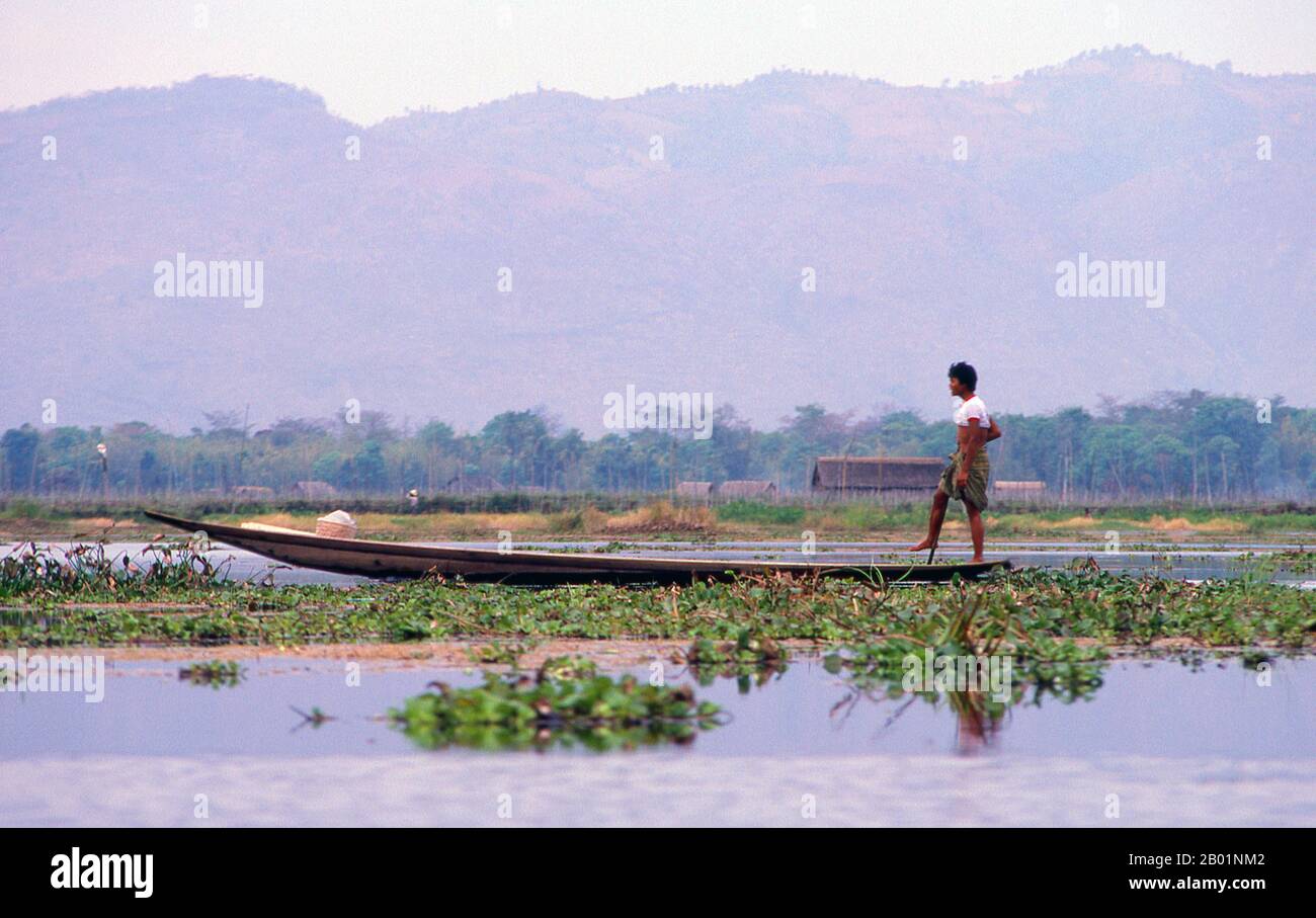 Birmanie/Myanmar : un rameur à jambes Intha dans son bateau sur le lac Inle, dans l'État de Shan. Le lac Inle est un lac d'eau douce situé dans le canton de Nyaungshwe du district de Taunggyi dans l'État de Shan, une partie des collines Shan au Myanmar (Birmanie). C'est le deuxième plus grand lac du Myanmar avec une superficie estimée à 44,9 miles carrés (116 km2), et l'un des plus hauts à une altitude de 2 900 pieds (880 m). Les habitants du lac Inle (appelé Intha), quelque 70 000 d'entre eux, vivent dans quatre villes bordant le lac, dans de nombreux petits villages le long des rives du lac, et sur le lac lui-même. Banque D'Images