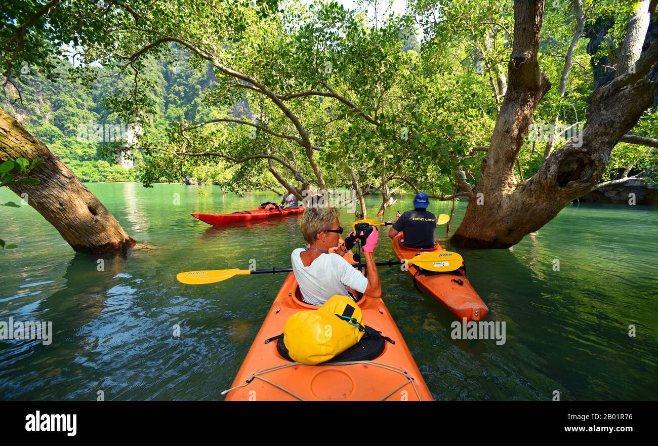 Excursion en kayak dans la mer d'Andaman à l'est de l'île de Phuket, Thaïlande, Phuket, Ao Phang Nga National Park Banque D'Images