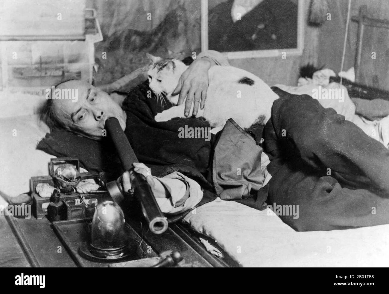 États-Unis : un fumeur d'opium avec son chat, San Francisco Chinatown, c. 1910. Le pavot à opium, Papaver somniferum, est l'espèce de plante dont sont extraits l'opium et les graines de pavot. L'opium est la source de nombreux opiacés, dont la morphine, la thébaïne, la codéine, la papavérine et la noscapine. Le nom botanique latin signifie le « pavot qui apporte le sommeil », se référant aux propriétés sédatives de certains de ces opiacés. Banque D'Images