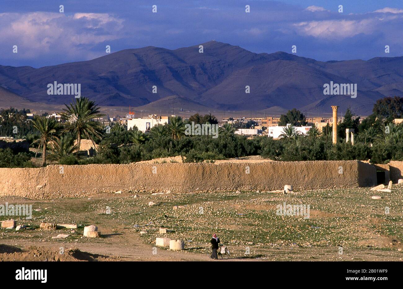 Syrie : collines surplombant Tadmur moderne (Palmyre). Palmyre était une ancienne ville en Syrie. C’était une ville importante du centre de la Syrie, située dans une oasis à 215 km au nord-est de Damas et à 180 km au sud-ouest de l’Euphrate à Deir ez-Zor. Elle avait longtemps été une ville caravane vitale pour les voyageurs traversant le désert syrien et était connue comme la mariée du désert. La plus ancienne référence documentée à la ville par son nom sémitique Tadmor, Tadmur ou Tudmur (qui signifie «la ville qui repousse» en Amoréen et «la ville indomptable» en araméen) est enregistrée dans les tablettes babyloniennes trouvées à mari. Banque D'Images