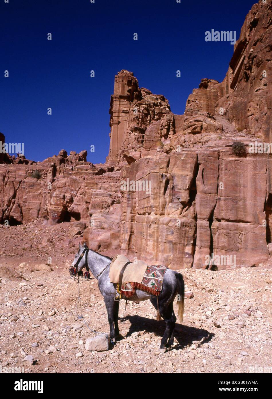 Jordanie : un cheval attend les visiteurs devant le tombeau de l'urne, Petra. Pétra a été établie pour la première fois comme une ville par les Arabes nabatéens au IVe siècle av. J.-C., et doit sa naissance et sa prospérité au fait qu'elle était le seul endroit avec une eau claire et abondante entre les centres commerciaux du Hijaz de la Mecque et Médine, et la Palestine. Creusée directement dans les crêtes de grès nubiennes du désert du sud de la Jordanie, il semble probable que - compte tenu de son excellente position défensive et de ses bonnes réserves d'eau - Petra a été continuellement occupée dès l'époque paléolithique. Banque D'Images