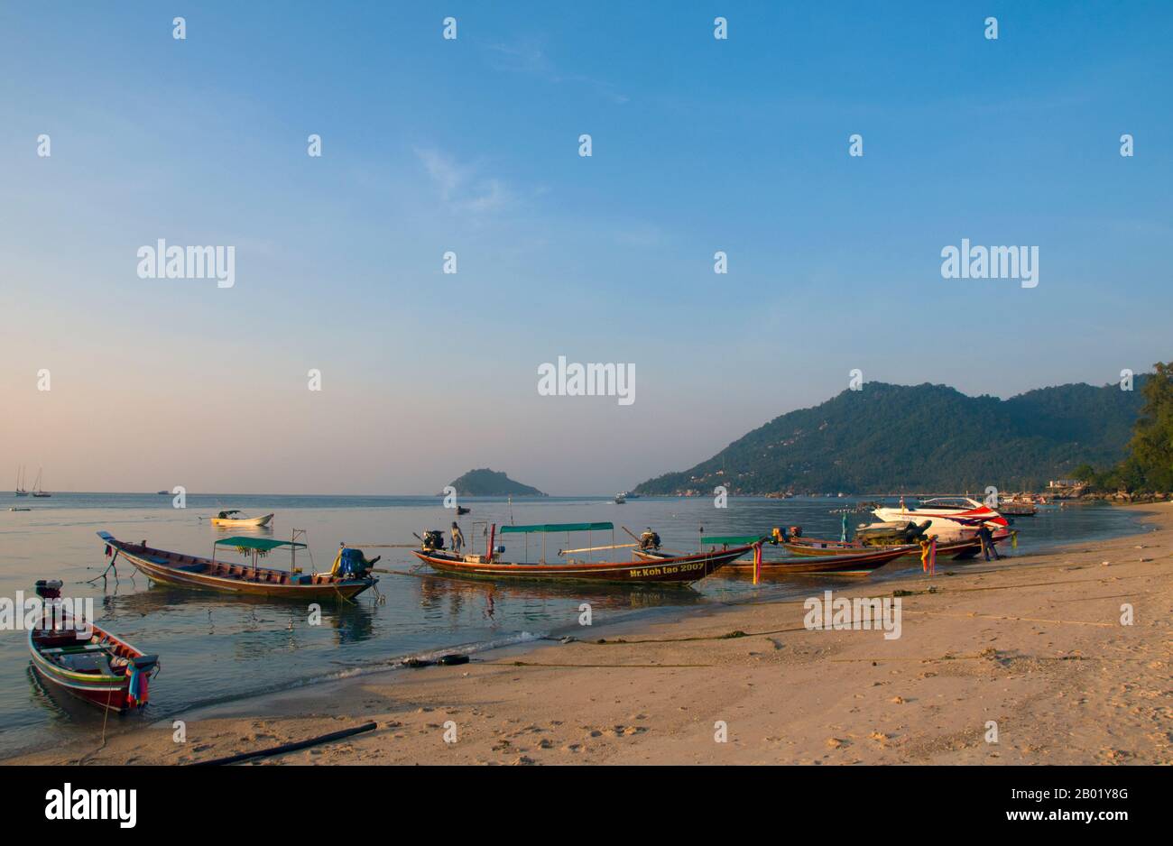 Thaïlande : Hat Ao Mae, Ko Tao (île de la tortue), sud de la Thaïlande. Ko Tao ou île de la tortue, situé au milieu du golfe de Thaïlande, a été nommé par les premiers colons pour la forme bosse de l'île, semblable à une tortue, bien qu'il s'agisse également d'un important terrain de reproduction pour Hawksbill et les tortues vertes. L’économie de l’île, autrefois inhabitée à l’exception des pêcheurs de passage, tourne désormais presque exclusivement autour du tourisme et de la plongée sous-marine. Le développement rapide du tourisme ces dernières années a eu un impact négatif sur la reproduction des tortues. Banque D'Images