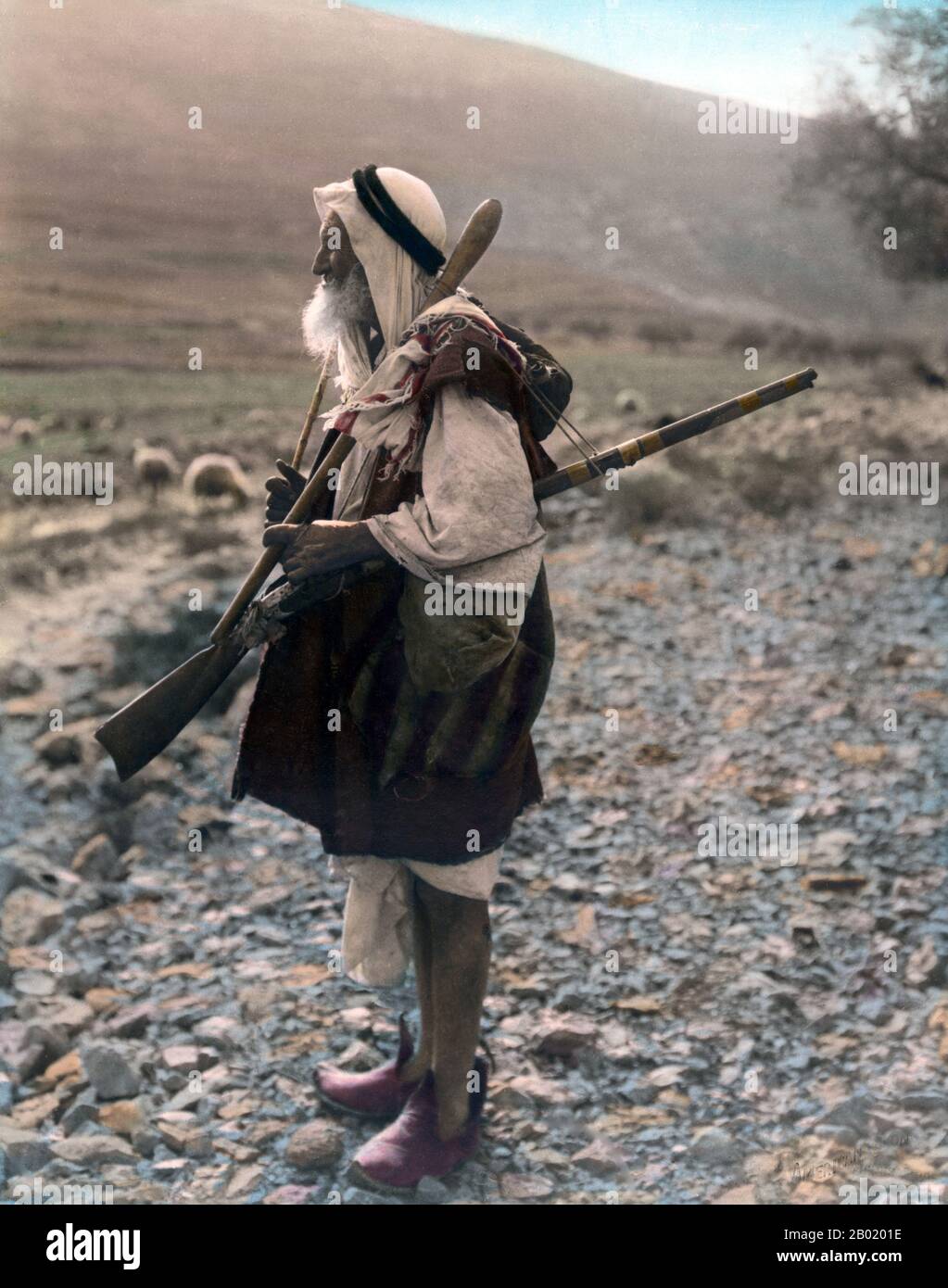 Palestine : un berger palestinien de Gabaon avec un fusil et ses moutons, v. 1898-1919. Palestine est un nom donné à la région géographique entre la mer Méditerranée et le Jourdain. La région est également connue comme la Terre d'Israël (Eretz-Yisra'el), la Terre Sainte et le Levant Sud. En 1832, la Palestine a été conquise par l'Égypte de Muhammad Ali, mais en 1840, la Grande-Bretagne est intervenue et a rendu le contrôle du Levant aux Ottomans en échange de nouvelles capitulations. La fin du XIXe siècle voit le début de l'immigration sioniste et la renaissance de la langue hébraïque. Banque D'Images