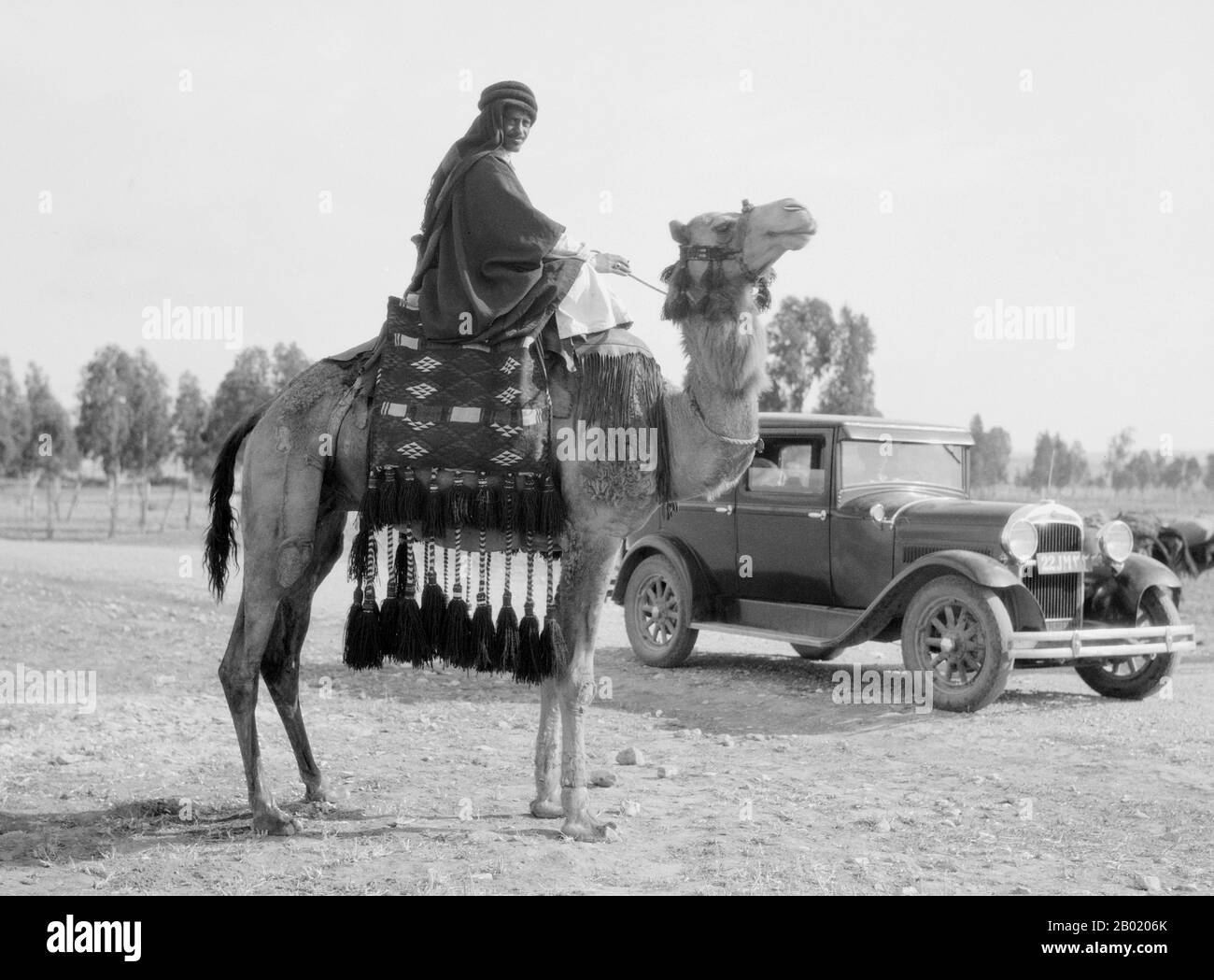 Palestine : ancien et nouveau - un palestinien à dos de chameau pose devant une automobile, Beersheba, v. 1924-1946. Palestine est un nom donné à la région géographique entre la mer Méditerranée et le Jourdain. La région est également connue comme la Terre d'Israël (Eretz-Yisra'el), la Terre Sainte et le Levant Sud. En 1832, la Palestine a été conquise par l'Égypte de Muhammad Ali, mais en 1840, la Grande-Bretagne est intervenue et a rendu le contrôle du Levant aux Ottomans en échange de nouvelles capitulations. La fin du XIXe siècle voit le début de l'immigration sioniste et le renouveau de la langue hébraïque. Banque D'Images