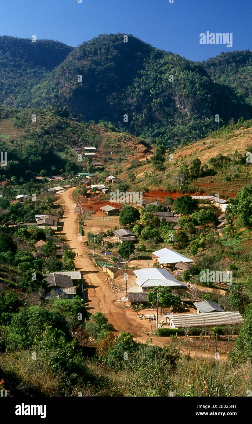Thaïlande : le village du KMT du Yunnanais de Padang dans les collines près de Tam Ngop, province de Chiang Rai. Les muletiers chinois rudes et indomptables connus des Birmans sous le nom de Panthay, et des Thaï et des Lao sous le nom de Haw ou Chin Haw, étaient - et sont pour la plupart encore - les maîtres du Triangle d'Or. Certes, ils étaient les commerçants par excellence, pénétrant dans les confins des territoires interdits tels que les États de Wa, tandis que dans le même temps leurs caravanes mules, chargées de tout, des pierres précieuses et du jade aux poêles d'opium et de cuivre, marchaient jusqu'à Luang Prabang au Laos et Moulmein en Birmanie. Banque D'Images Thaïlande : le village du KMT du Yunnanais de Padang dans les collines près de Tam Ngop, province de Chiang Rai. Les muletiers chinois rudes et indomptables connus des Birmans sous le nom de Panthay, et des Thaï et des Lao sous le nom de Haw ou Chin Haw, étaient - et sont pour la plupart encore - les maîtres du Triangle d'Or. Certes, ils étaient les commerçants par excellence, pénétrant dans les confins des territoires interdits tels que les États de Wa, tandis que dans le même temps leurs caravanes mules, chargées de tout, des pierres précieuses et du jade aux poêles d'opium et de cuivre, marchaient jusqu'à Luang Prabang au Laos et Moulmein en Birmanie. Banque D'Images