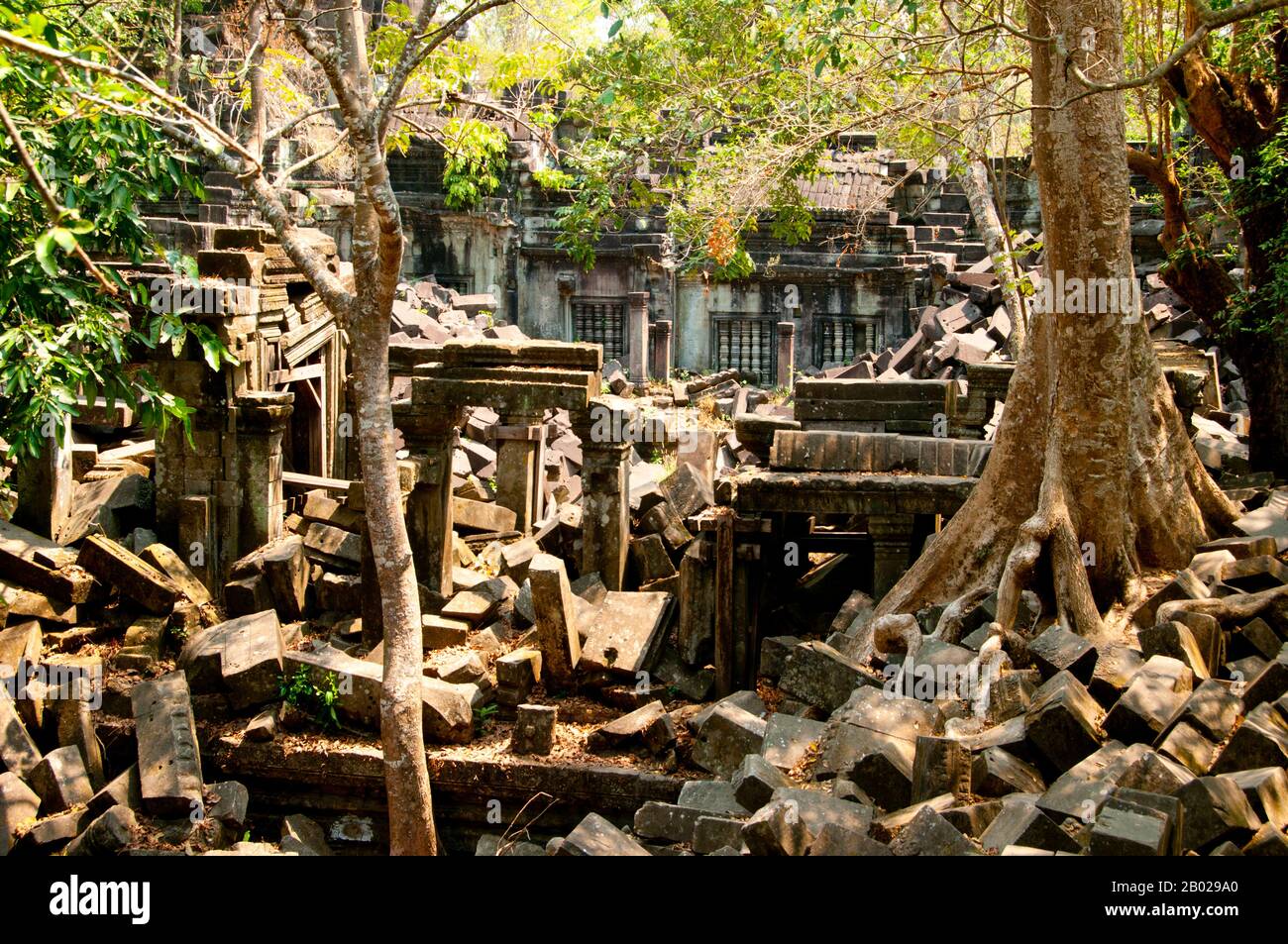 Cambodge : les ruines de Beng Mealea (temple khmer du XIIe siècle), à 40 km à l'est du groupe principal de temples d'Angkor. Beng Mealea a été construit comme un temple hindou, mais il y a quelques sculptures représentant des motifs bouddhistes. Son matériau primaire est le grès et il est en grande partie non restauré, avec des arbres et des broussailles épaisses prospérant au milieu de ses tours et cours et beaucoup de ses pierres se trouvant dans de grands tas. Pendant des années, il était difficile d'atteindre, mais une route récemment construite pour le complexe du temple de Koh Ker passe Beng Mealea et plus de visiteurs viennent sur le site, car il est à 77 km de Siem Reap par la route. Banque D'Images