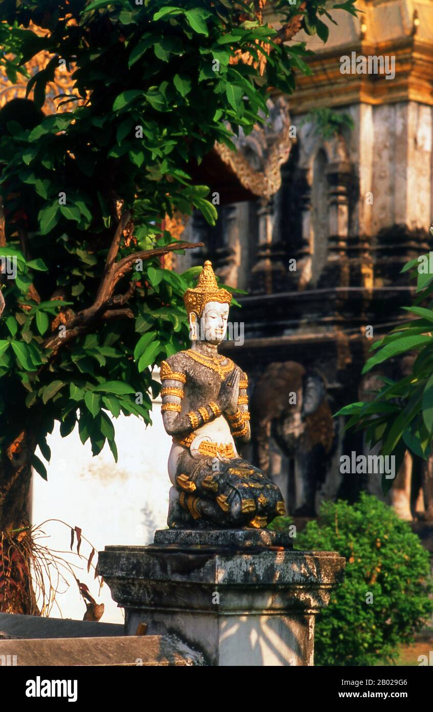 Wat Chiang Man (Chiang Mun) a été construit en 1297 ce et est considéré comme le plus ancien temple de Chiang Mai. Il a été construit sur place qui avait été utilisé par le roi Mangrai comme camp lors de la construction de sa nouvelle capitale Chiang Mai. Chiang Mai (signifiant « nouvelle ville »), parfois écrit comme « Chiengmai » ou « Chiangmai », est la ville la plus importante et la plus culturellement significative du nord de la Thaïlande. Le roi Mengrai fonde la ville de Chiang Mai en 1296, et il succède à Chiang Rai comme capitale du royaume de Lanna. Banque D'Images